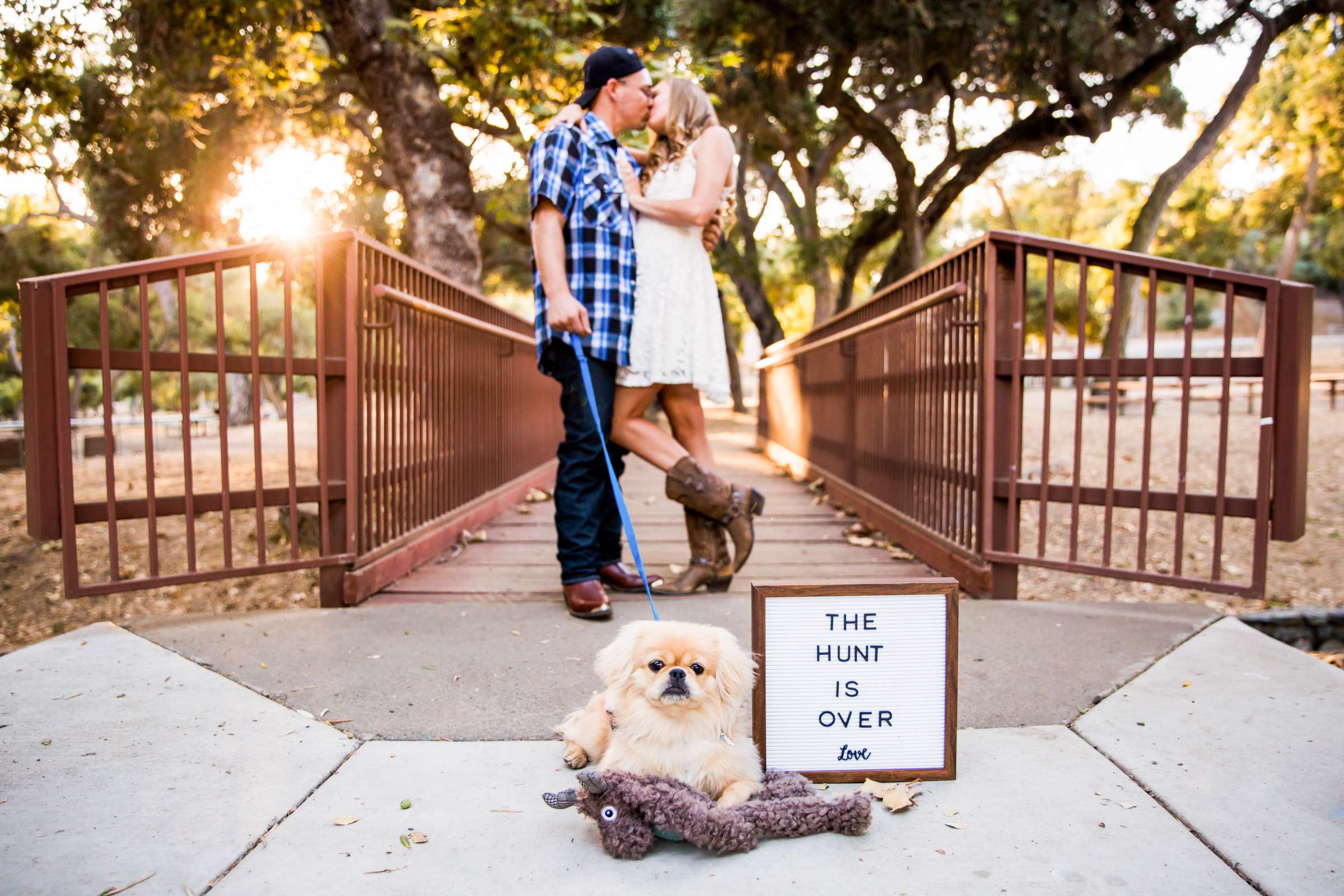 Engagement, Brooke and Brett Engagement Photo #583043 by True Photography