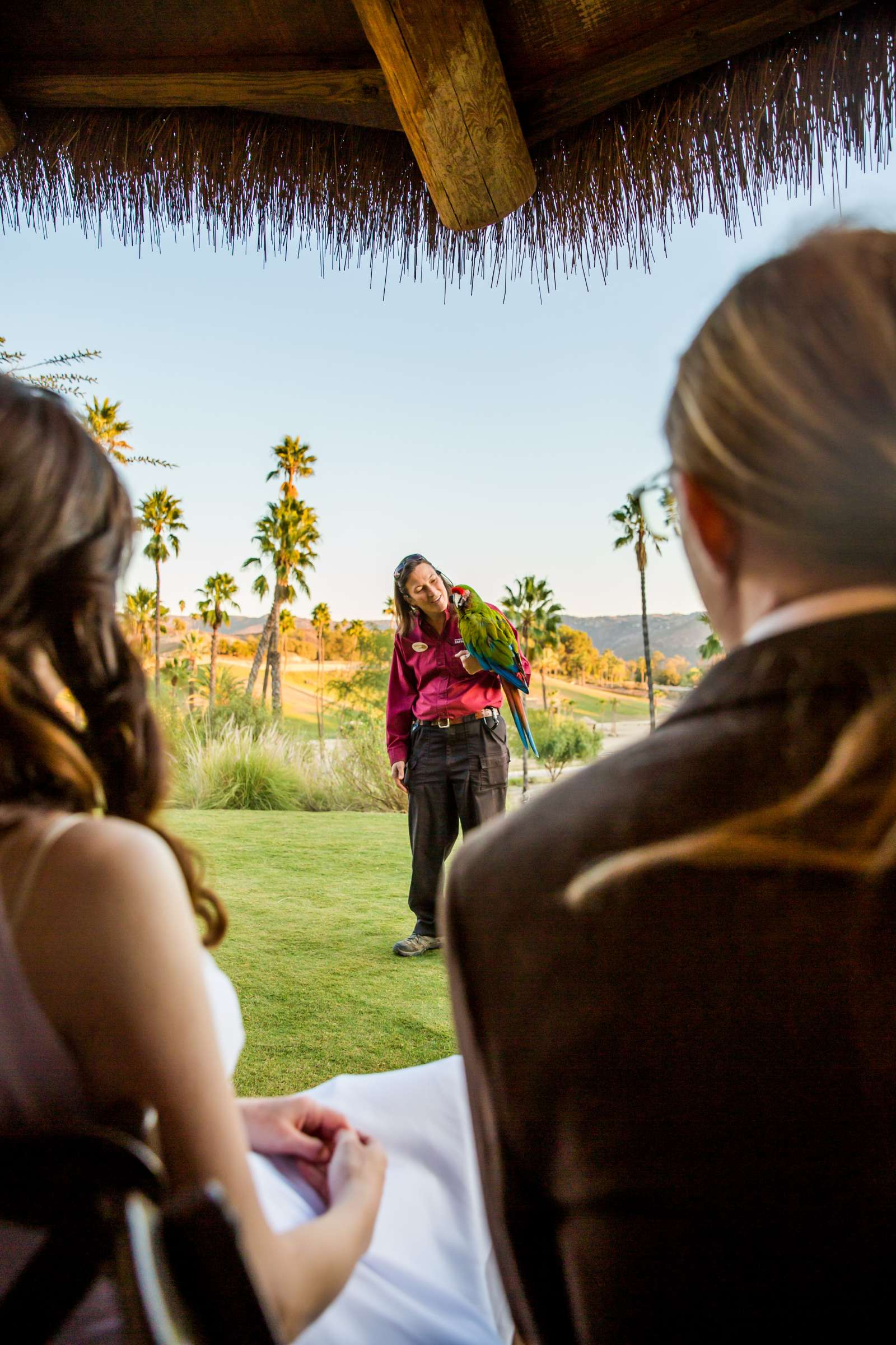 Safari Park Wedding coordinated by Always Flawless Productions, Lynx and Adam Wedding Photo #108 by True Photography