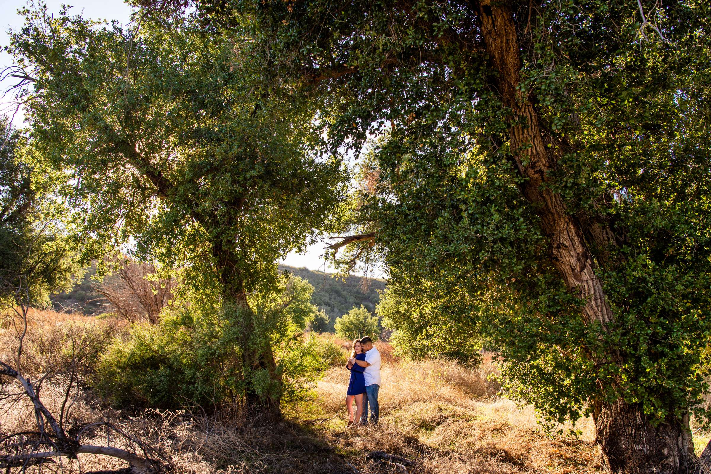 Serendipity Garden Weddings Engagement, Haley and Eric Engagement Photo #594931 by True Photography