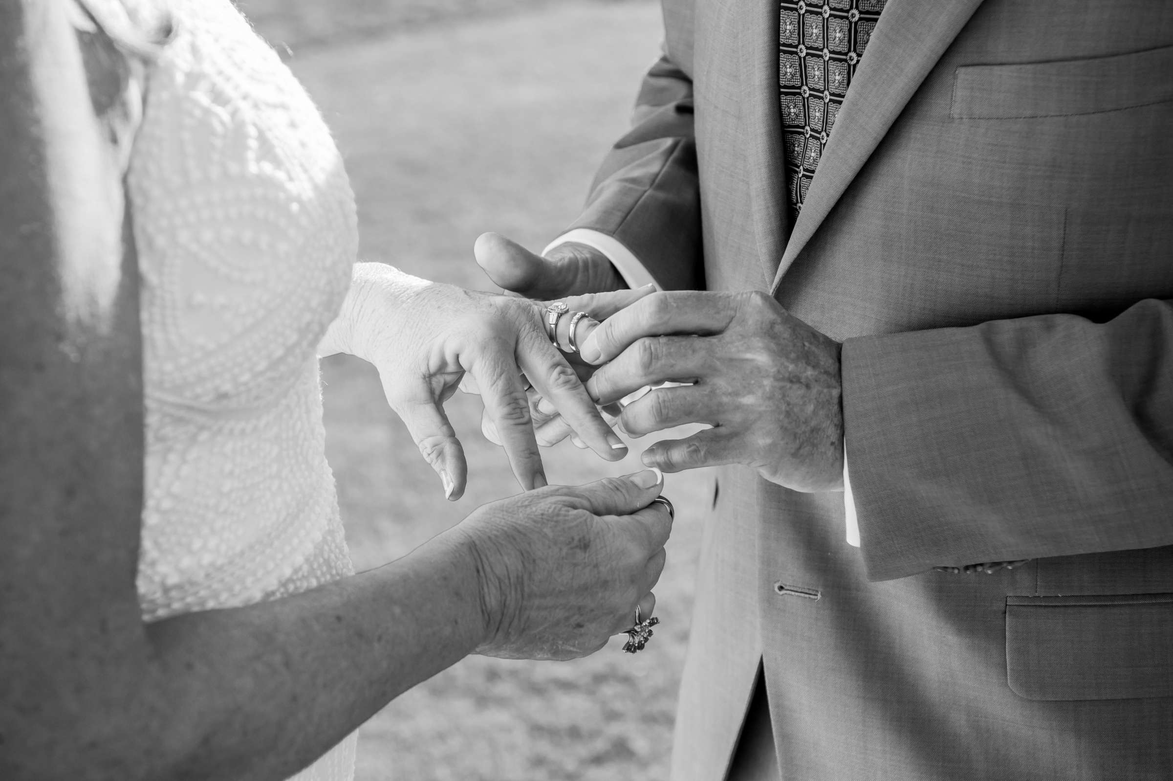 Powerhouse Del Mar Wedding, Barbara and Peter Wedding Photo #37 by True Photography