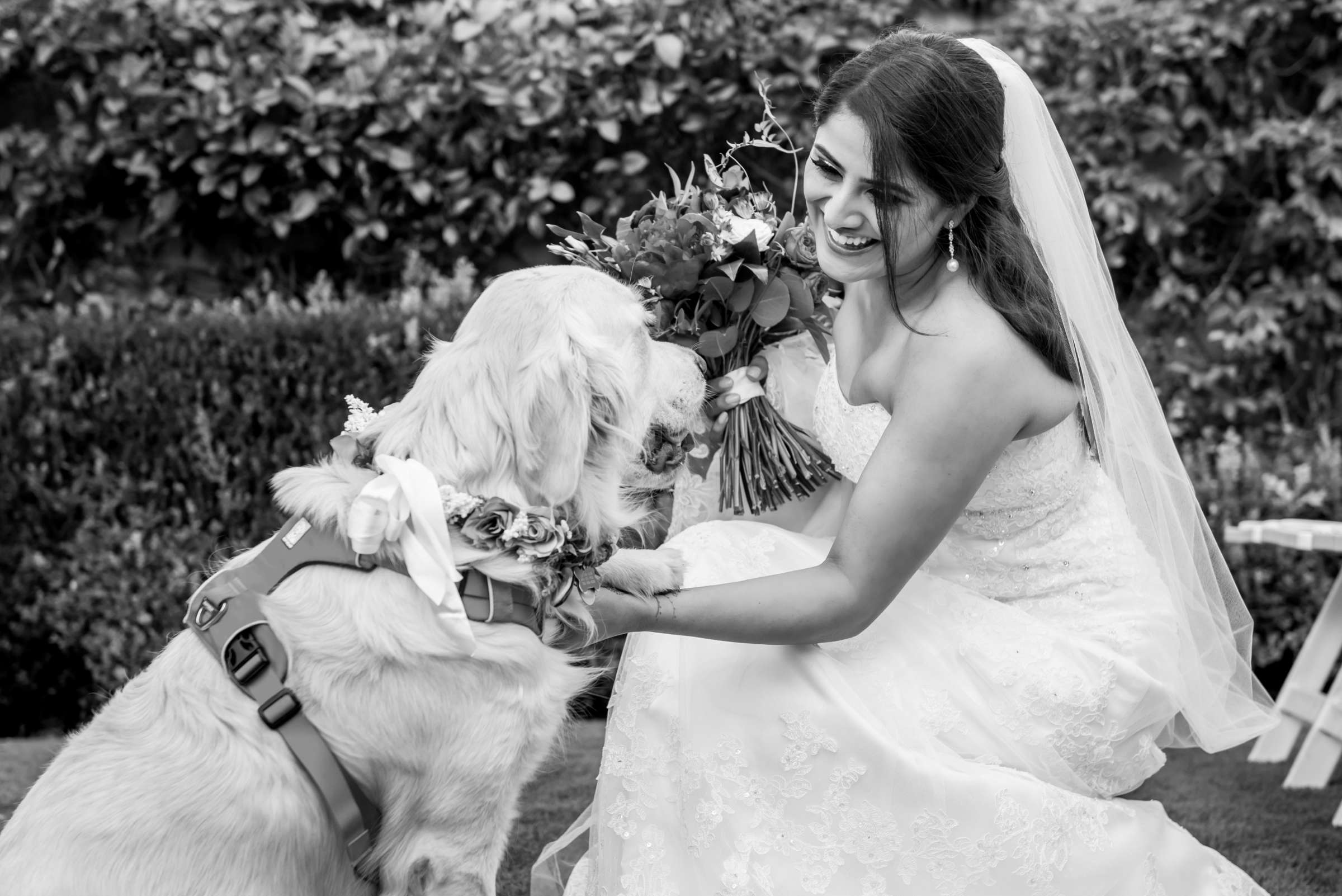 Cape Rey Wedding coordinated by Holly Kalkin Weddings, Jasmine and Kyle Wedding Photo #24 by True Photography