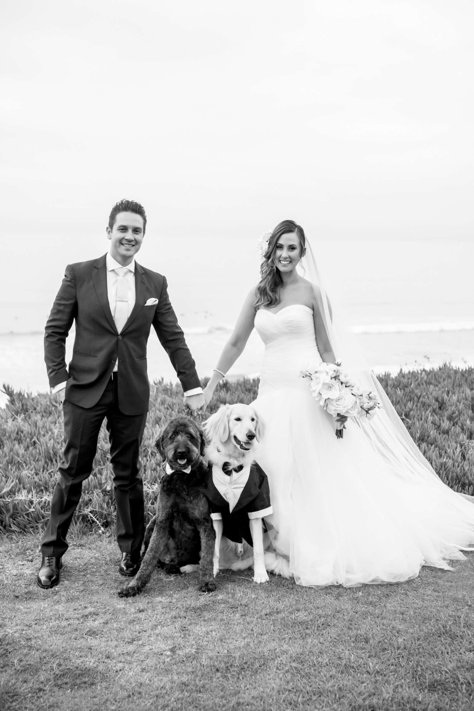 Seagrove Park Wedding, Sara and Lenny Wedding Photo #598147 by True Photography