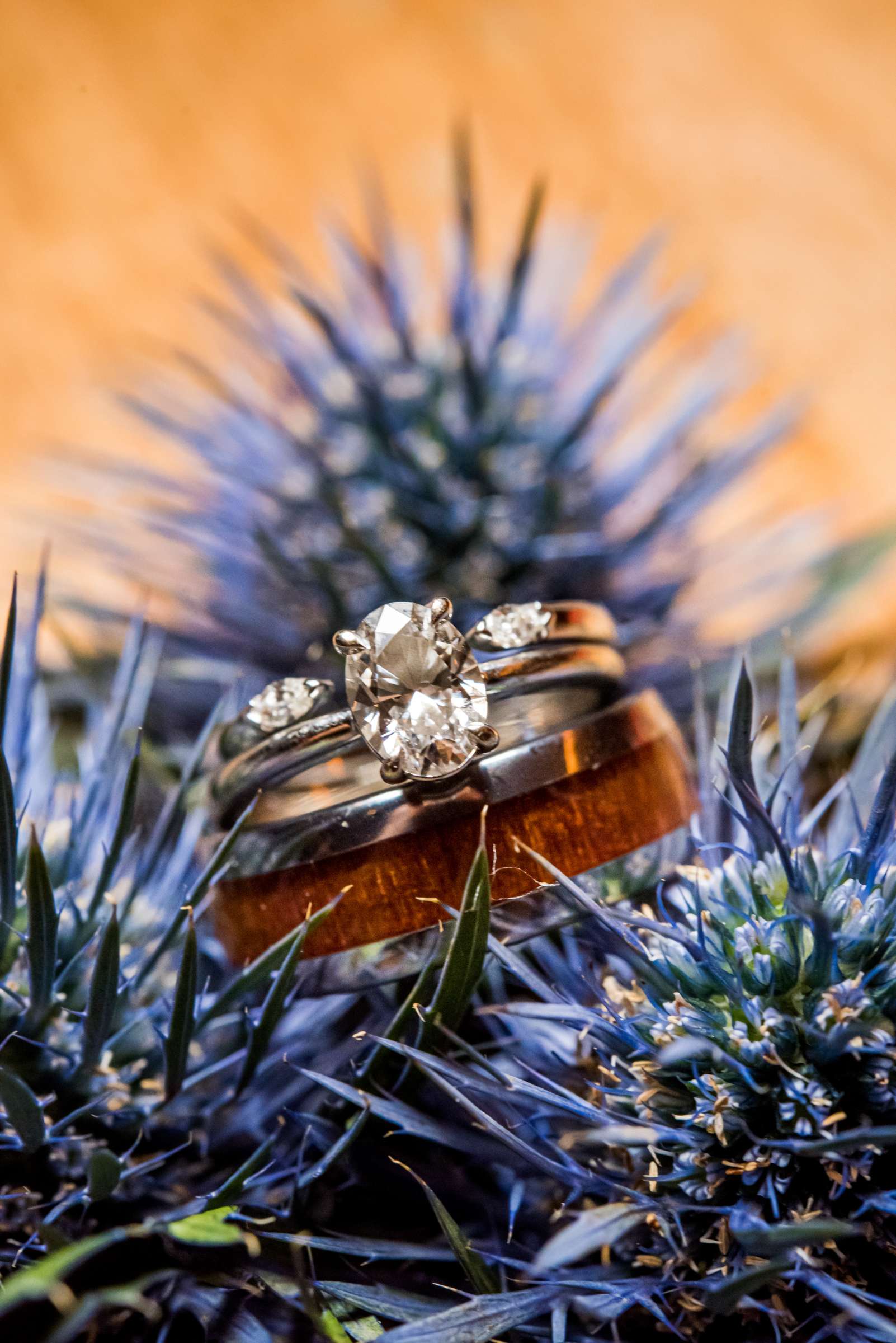 Scripps Seaside Forum Wedding, Suzanne and Briley Wedding Photo #31 by True Photography