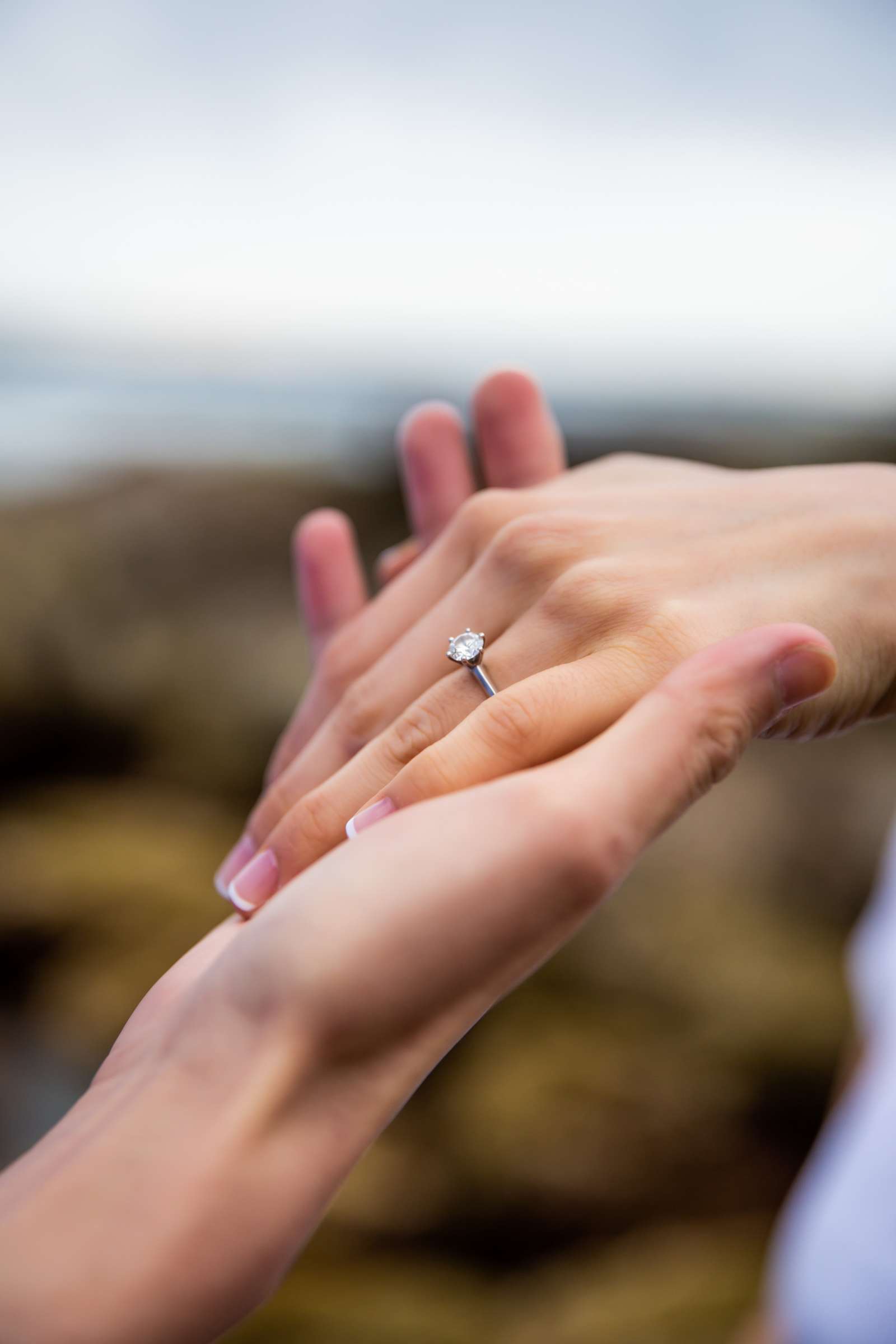 Engagement, Sibo and David Engagement Photo #21 by True Photography