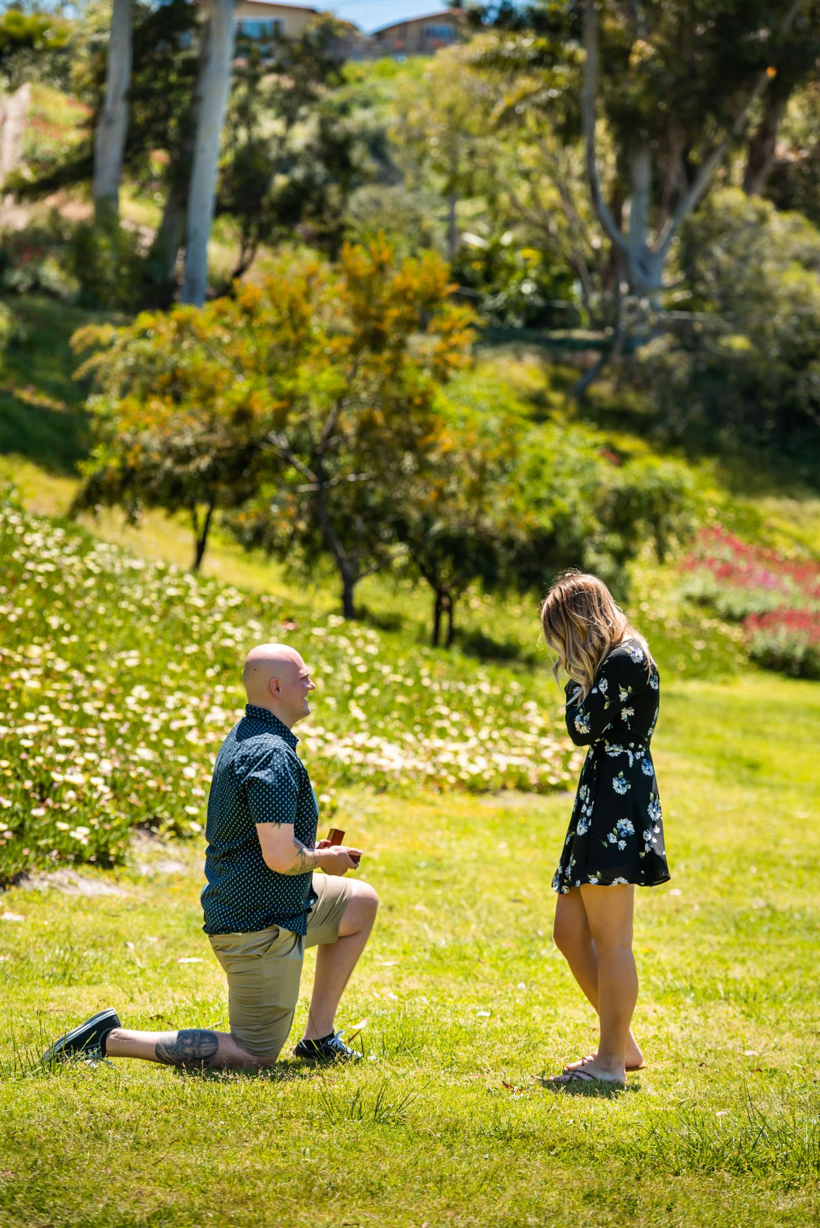 Stylized, Jordon and Courtney Proposal Stylized Photo #605215 by True Photography