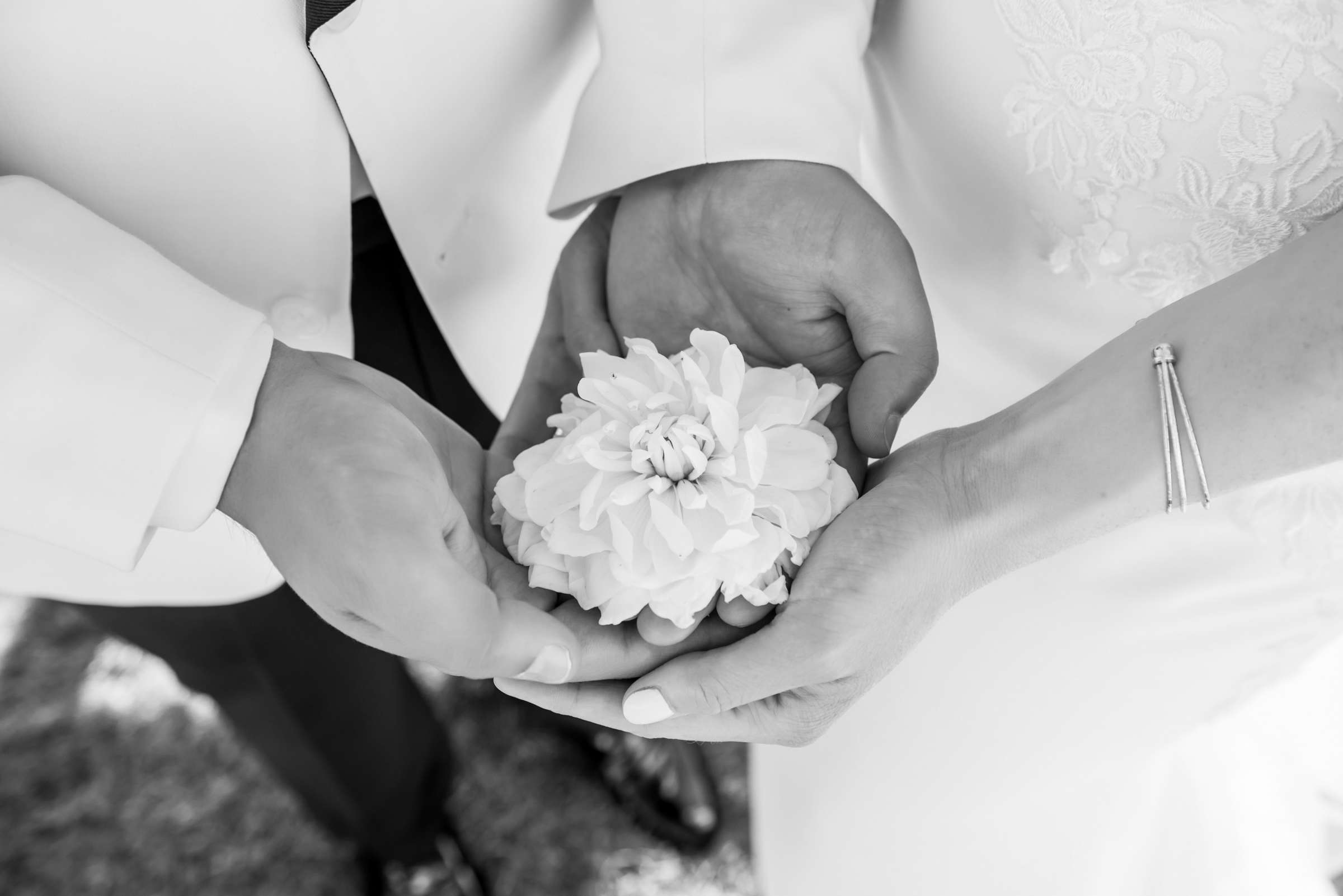 Coronado Cays Yacht Club Wedding coordinated by Selina Rose Weddings & Events, Jessica and Brandon Wedding Photo #606571 by True Photography