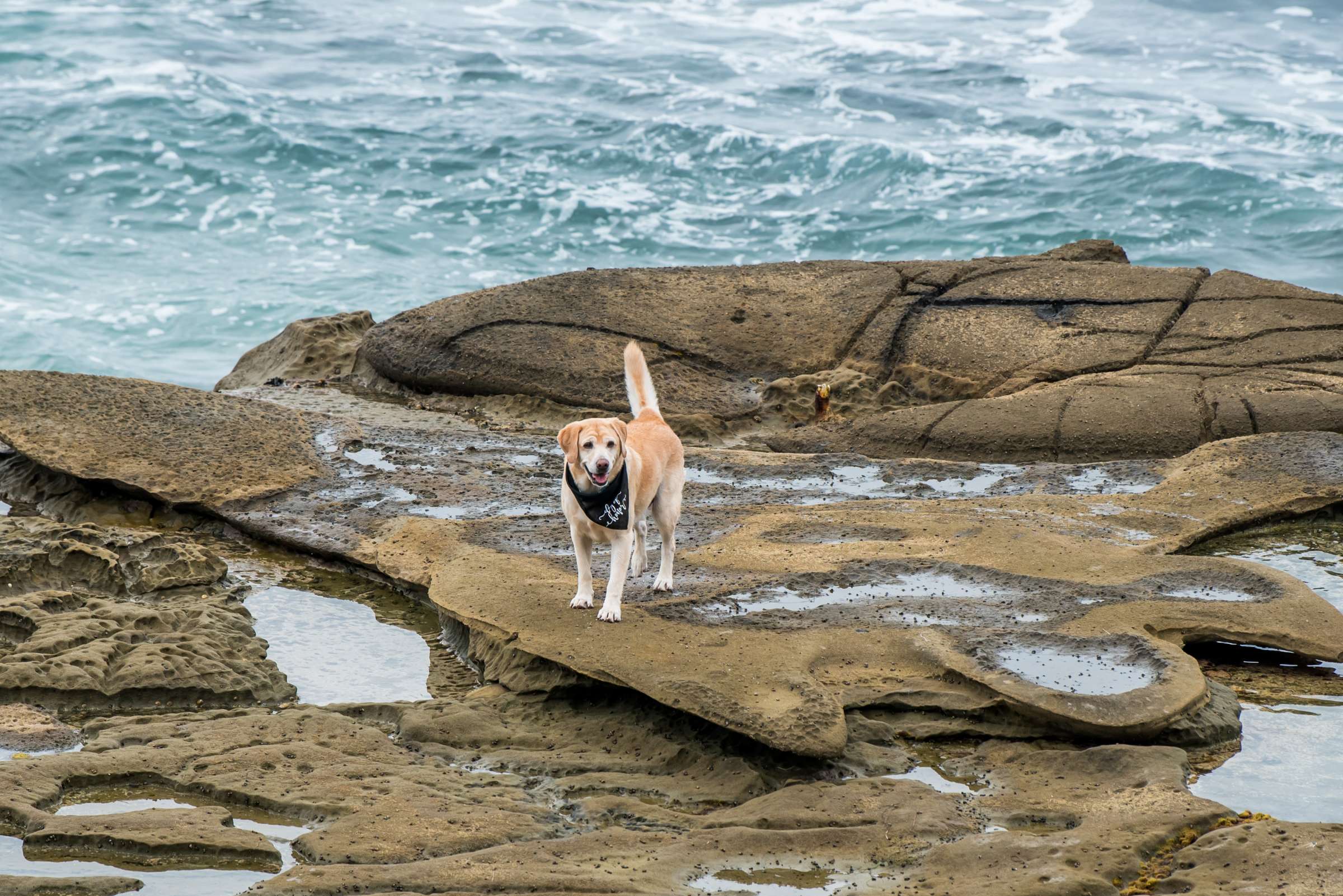 Ville Sur Mer Wedding, Samantha and Danny Wedding Photo #47 by True Photography