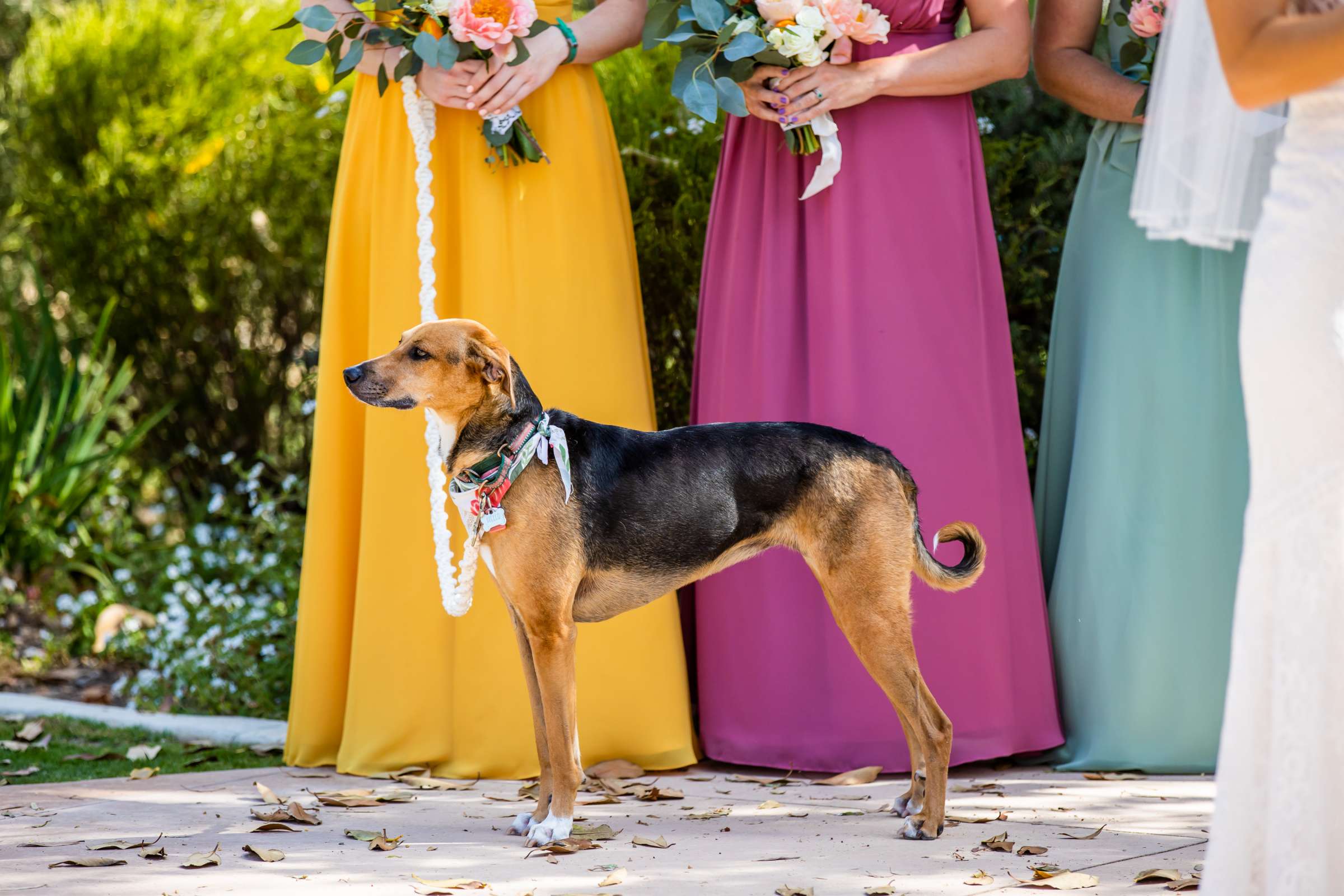 Wedding coordinated by LP's Enchanting Weddings, Jen and Jake Wedding Photo #15 by True Photography