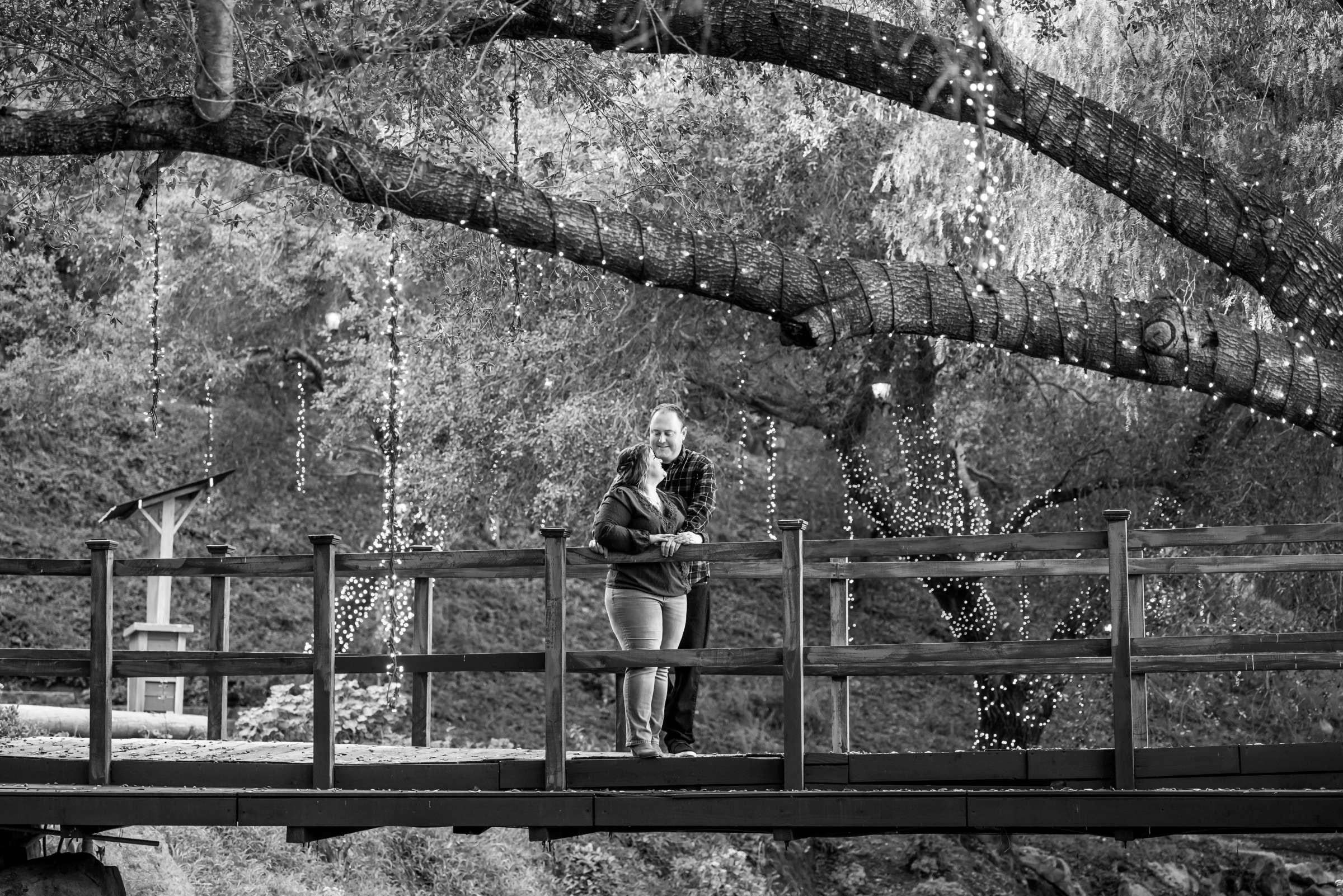 Engagement, Caitlin and Bryan Engagement Photo #5 by True Photography