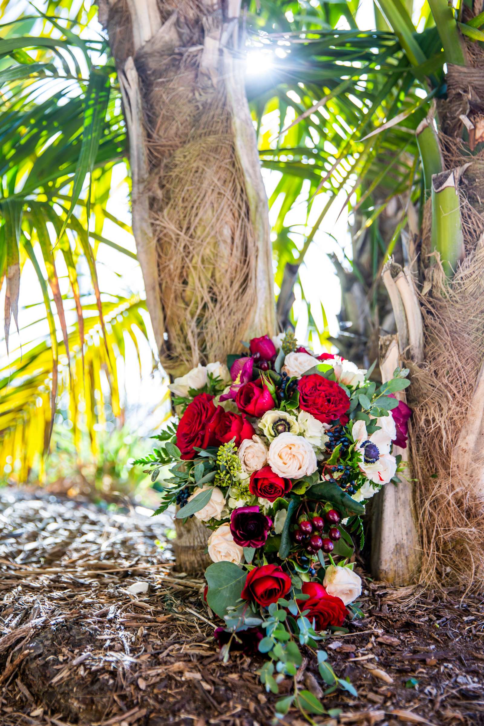 San Diego Mission Bay Resort Wedding coordinated by Elements of Style, Jennifer and Aaron Wedding Photo #622300 by True Photography