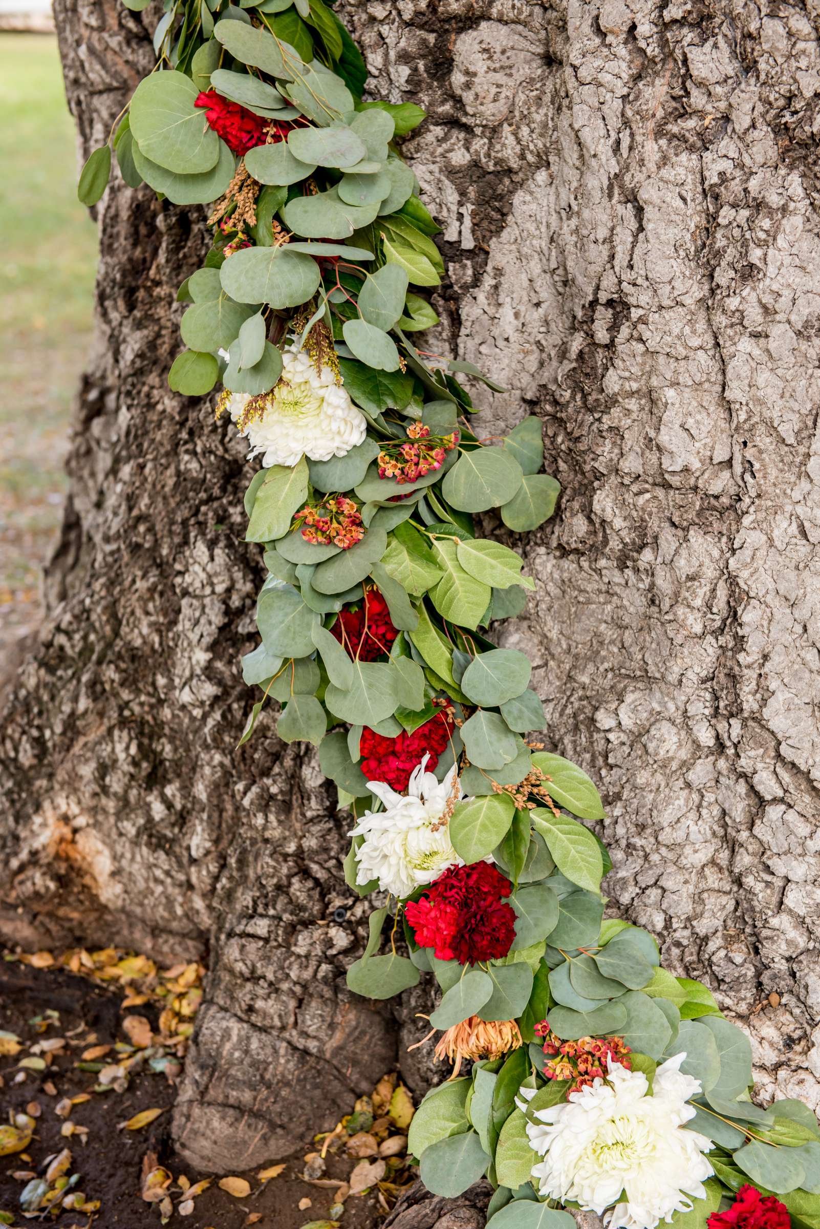 Circle Oak Ranch Weddings Wedding, Chelsea and Evan Wedding Photo #168 by True Photography