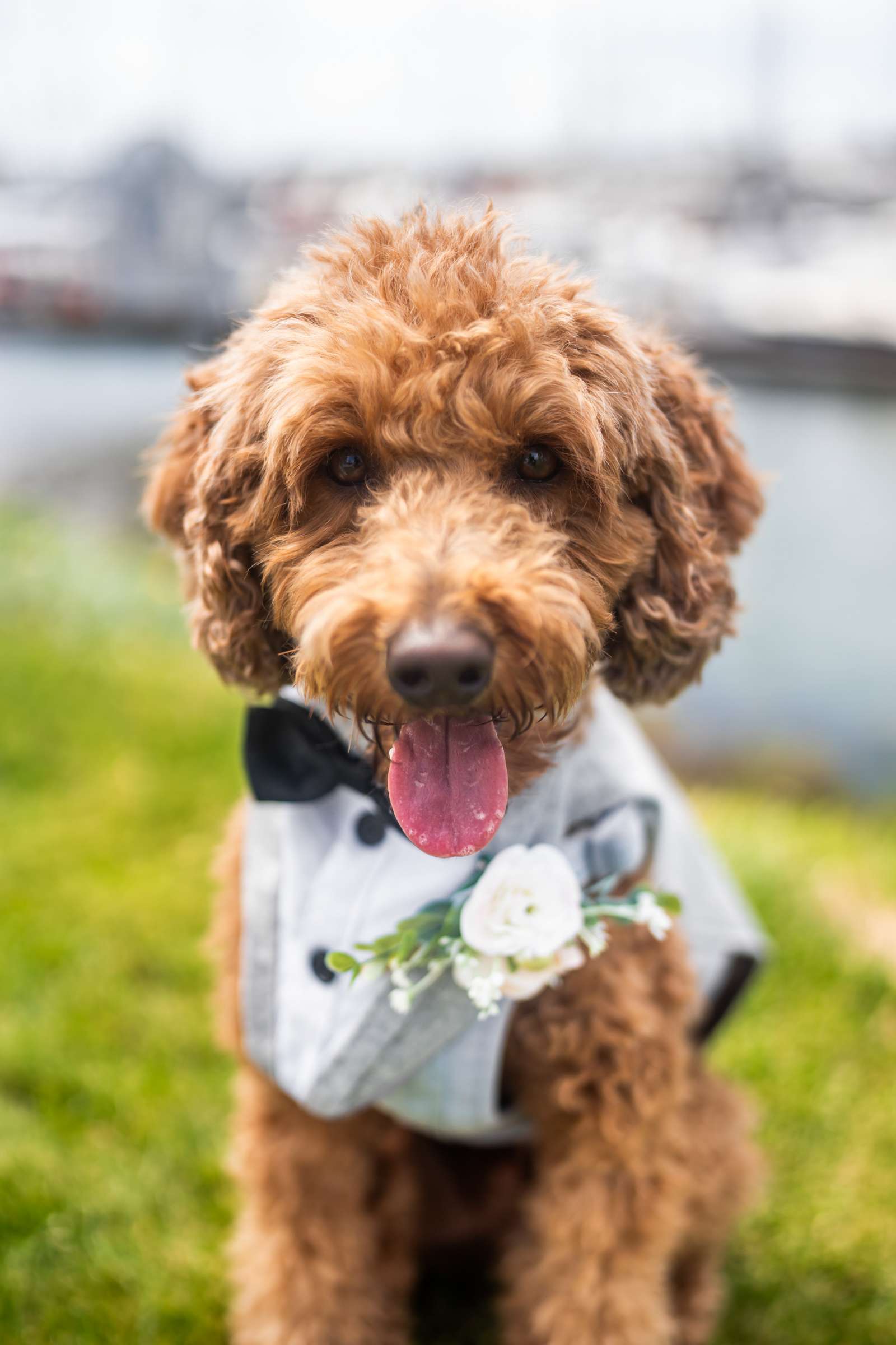 Harbor View Loft Wedding, Bailey and Dani Wedding Photo #5 by True Photography