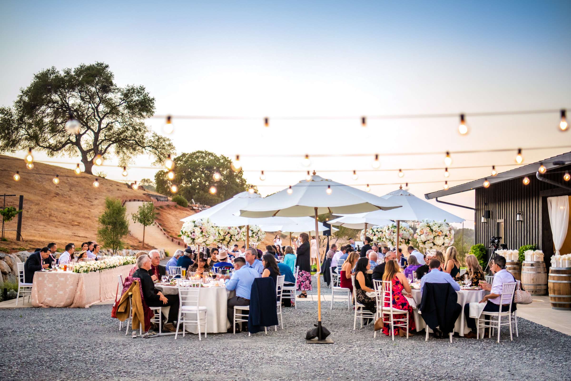 Black Oak Mountain Vineyards Wedding coordinated by Kendall Melissa Events, Liz and Paul Wedding Photo #73 by True Photography