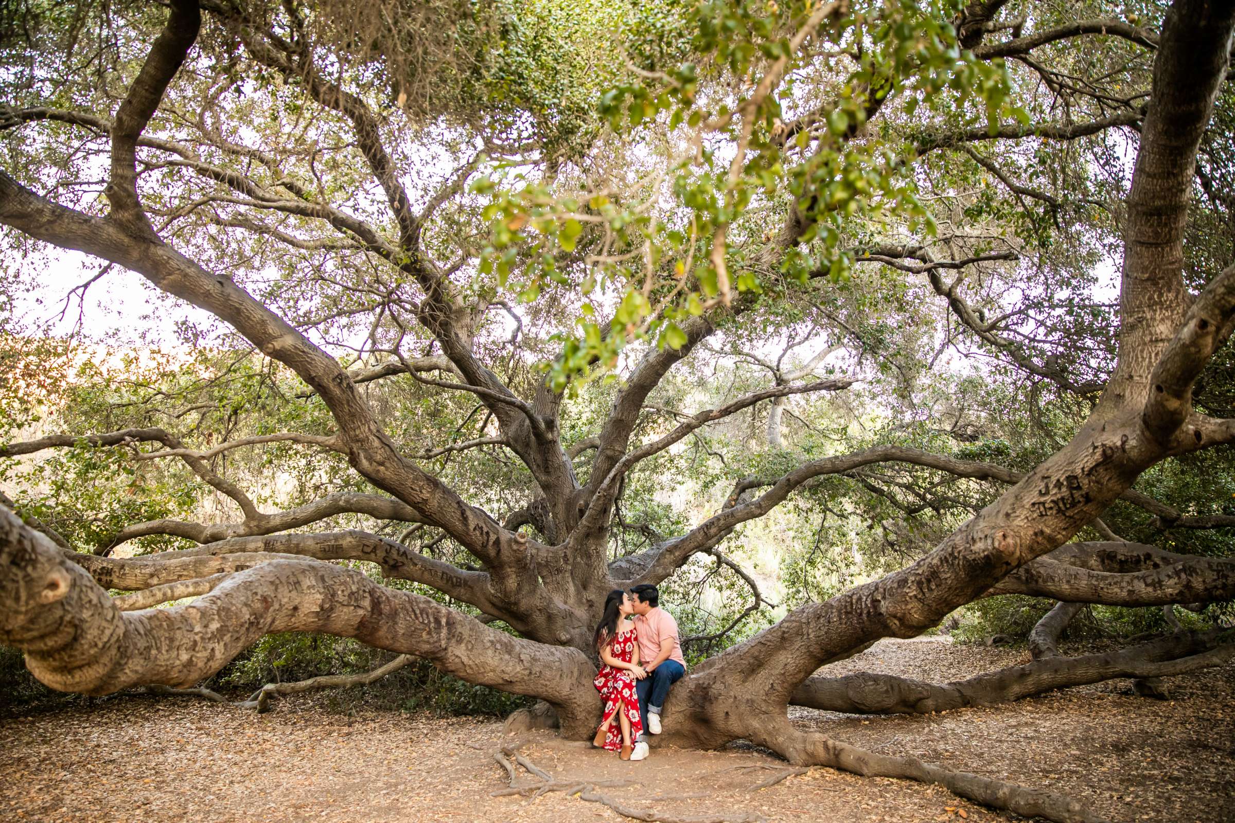 Engagement, Allyson and Caleb Engagement Photo #1 by True Photography