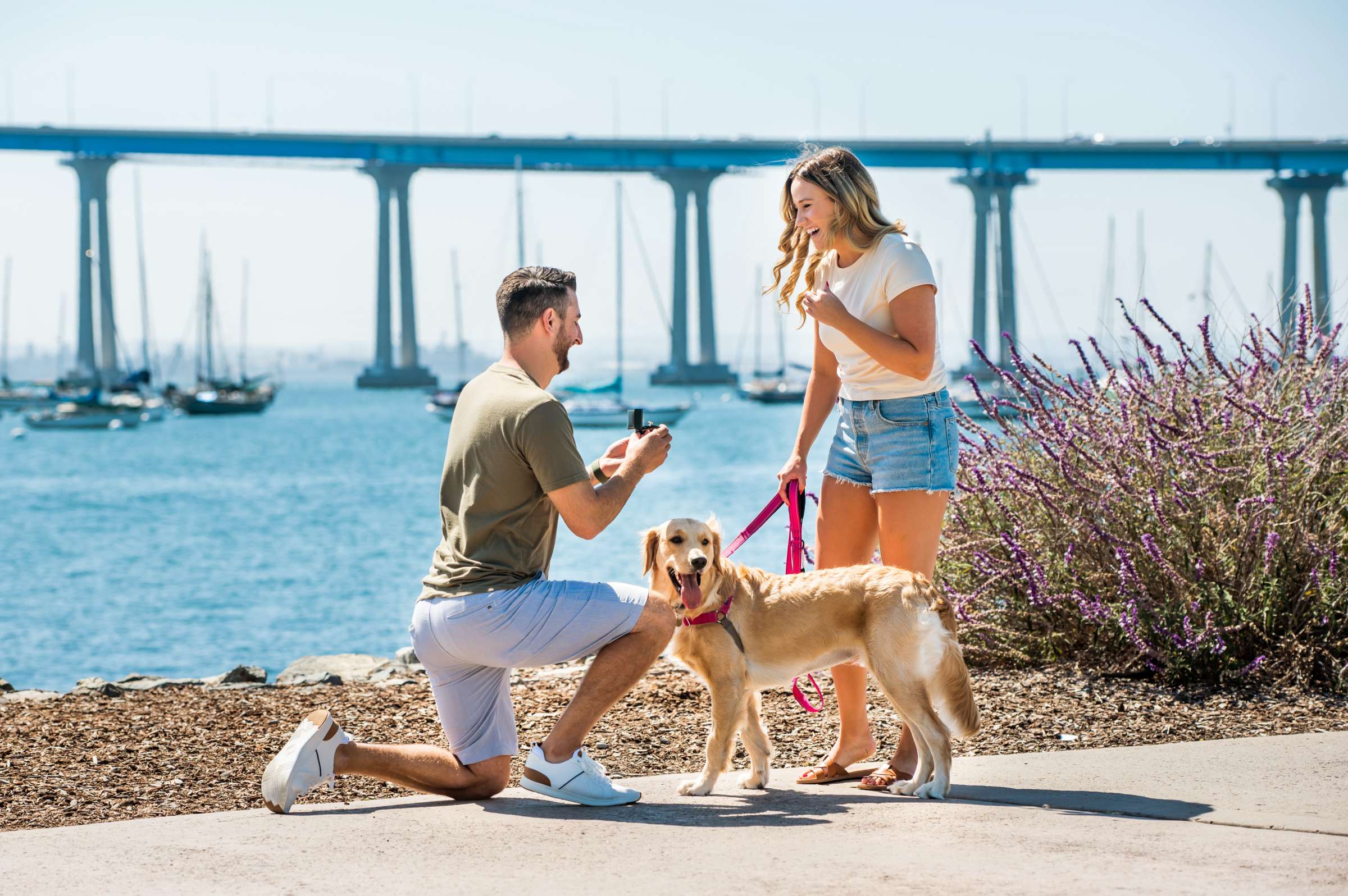 Proposal, Alex and Erin Proposal Photo #1 by True Photography