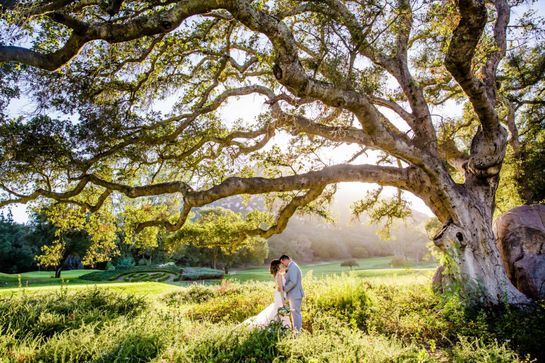 Wedding couple under giant oak tree at Mt Woodson Castle photographed by True Photography