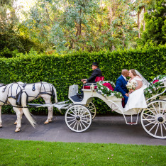 Tiffany and Josue