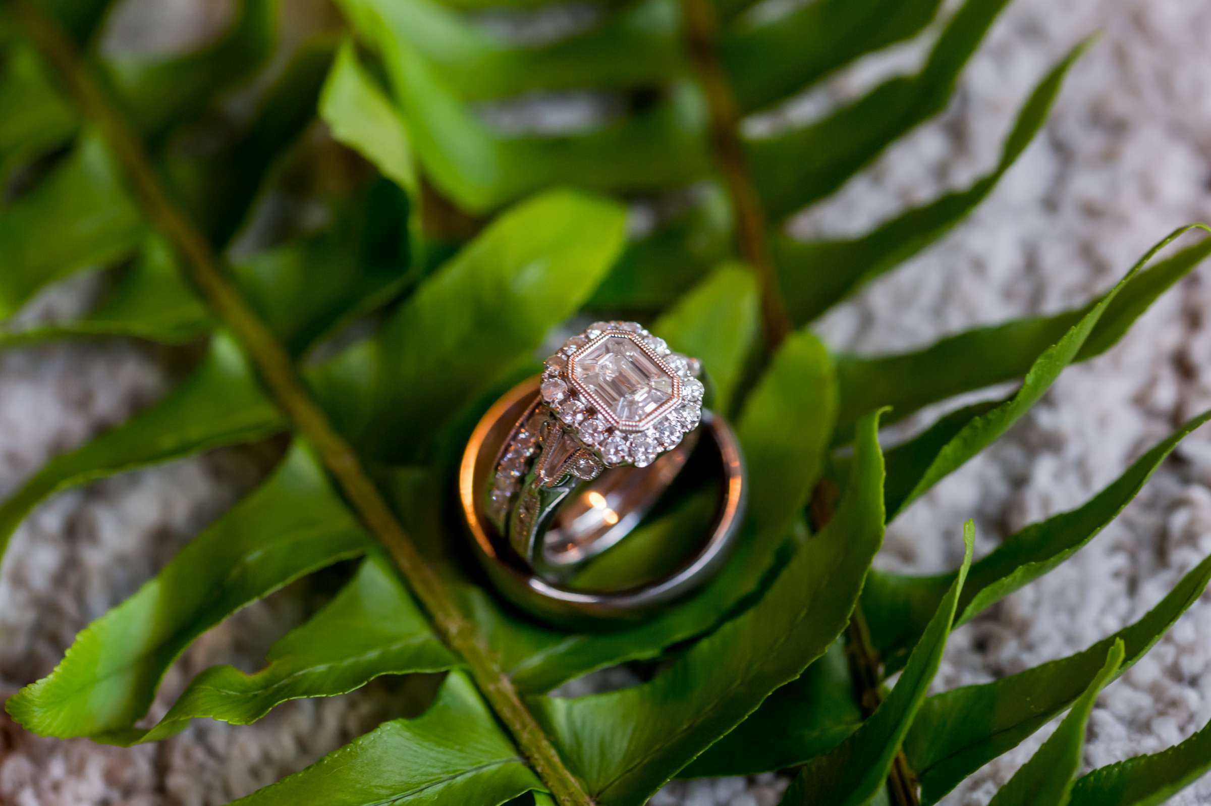 Scripps Seaside Forum Wedding coordinated by I Do Weddings, Ashley and Jordan Wedding Photo #7 by True Photography