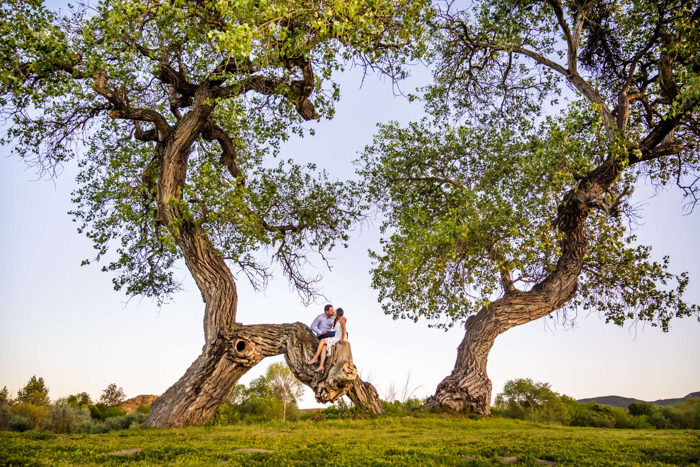 Engagement, Michelle and Gabriel Engagement Photo #2 by True Photography