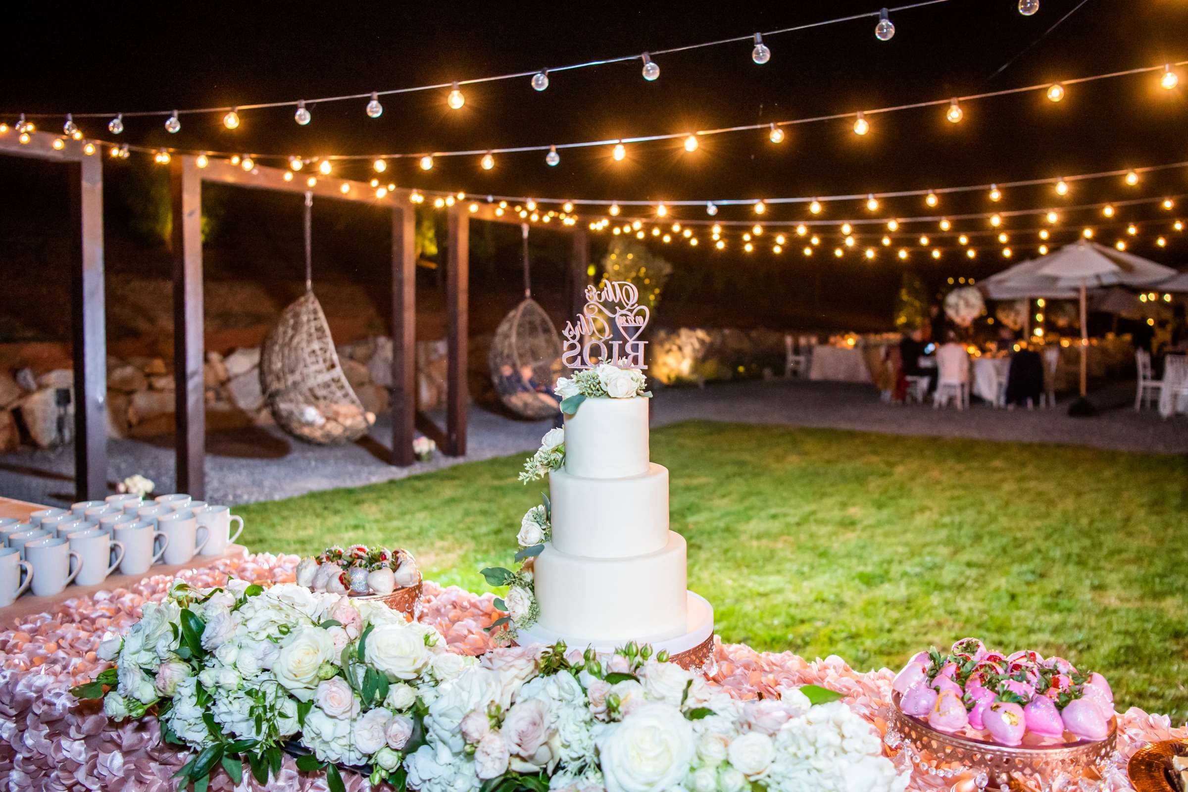 Black Oak Mountain Vineyards Wedding coordinated by Kendall Melissa Events, Liz and Paul Wedding Photo #126 by True Photography