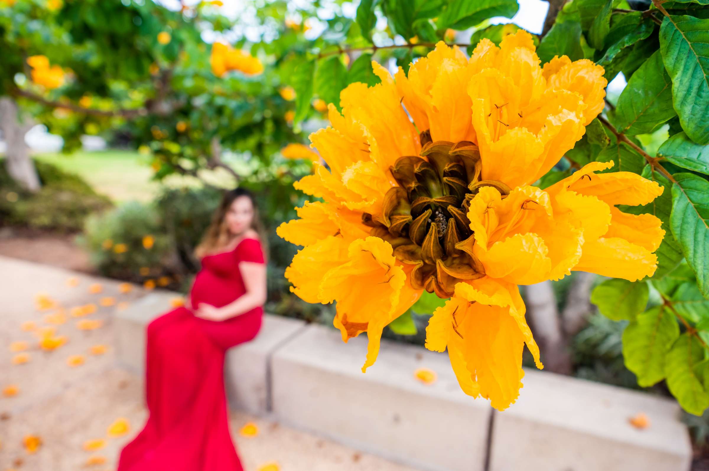 Scripps Seaside Forum Maternity Photo Session, Maribel B Maternity Photo #4 by True Photography