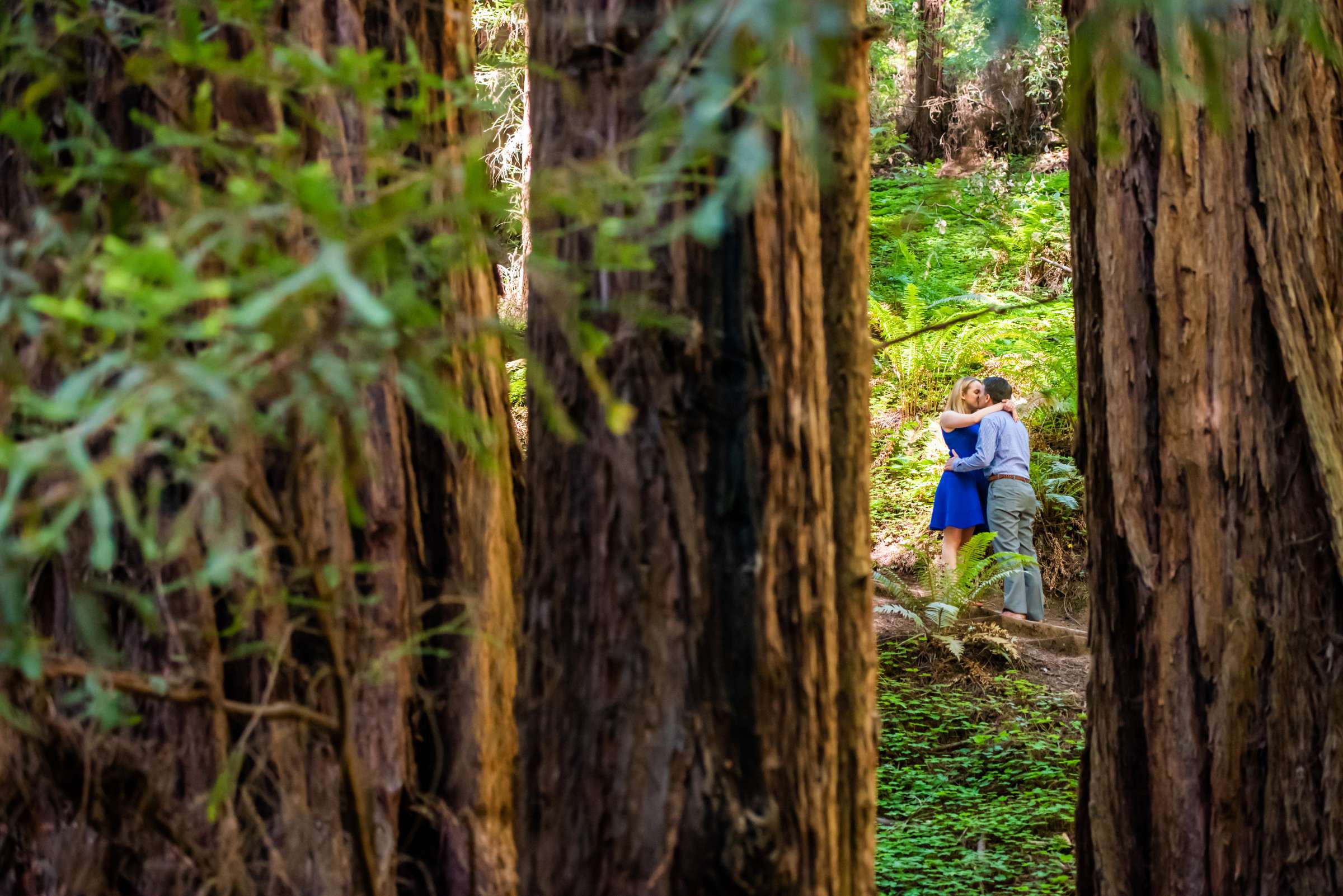 Engagement, Lisa and Kenny Engagement Photo #629877 by True Photography