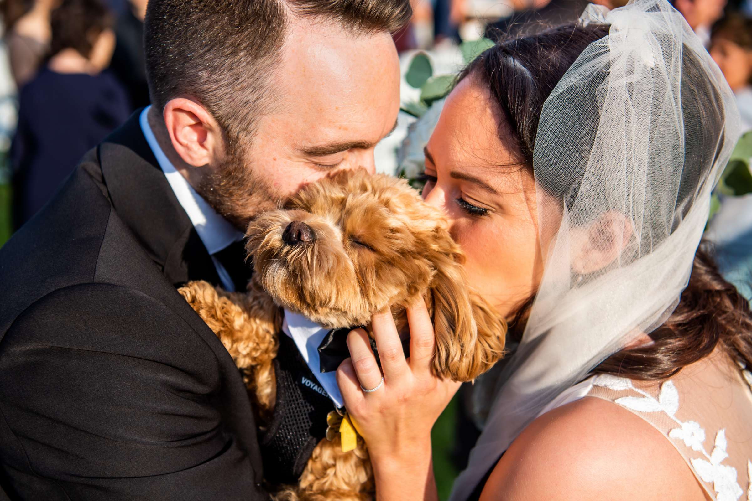 Hyatt Regency Mission Bay Wedding, Sherrill and Dan Wedding Photo #6 by True Photography