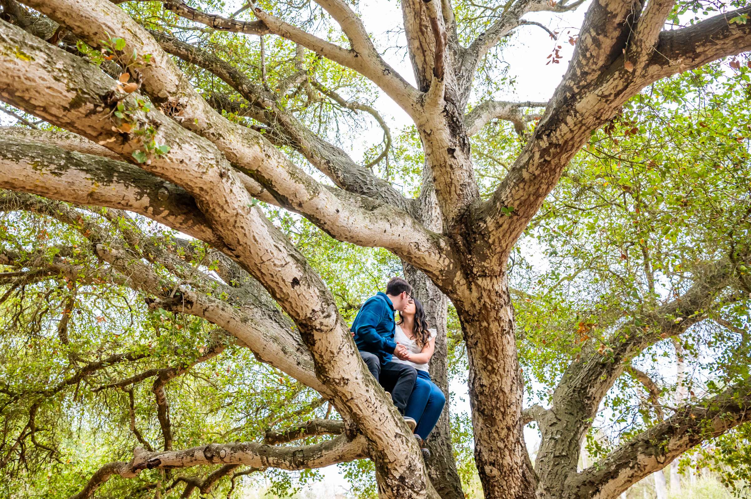 Engagement, Amber and Ben Engagement Photo #1 by True Photography