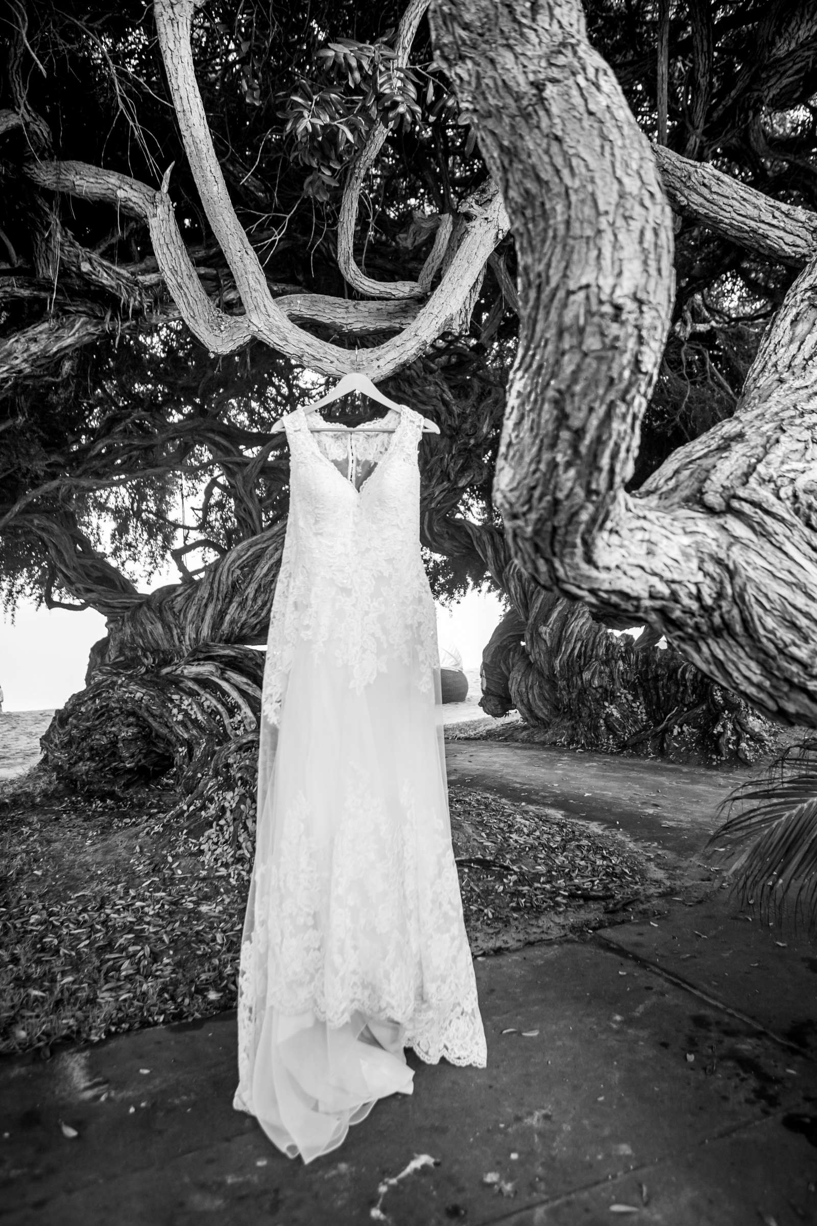 Bahia Hotel Wedding, Charity and Marc Wedding Photo #10 by True Photography