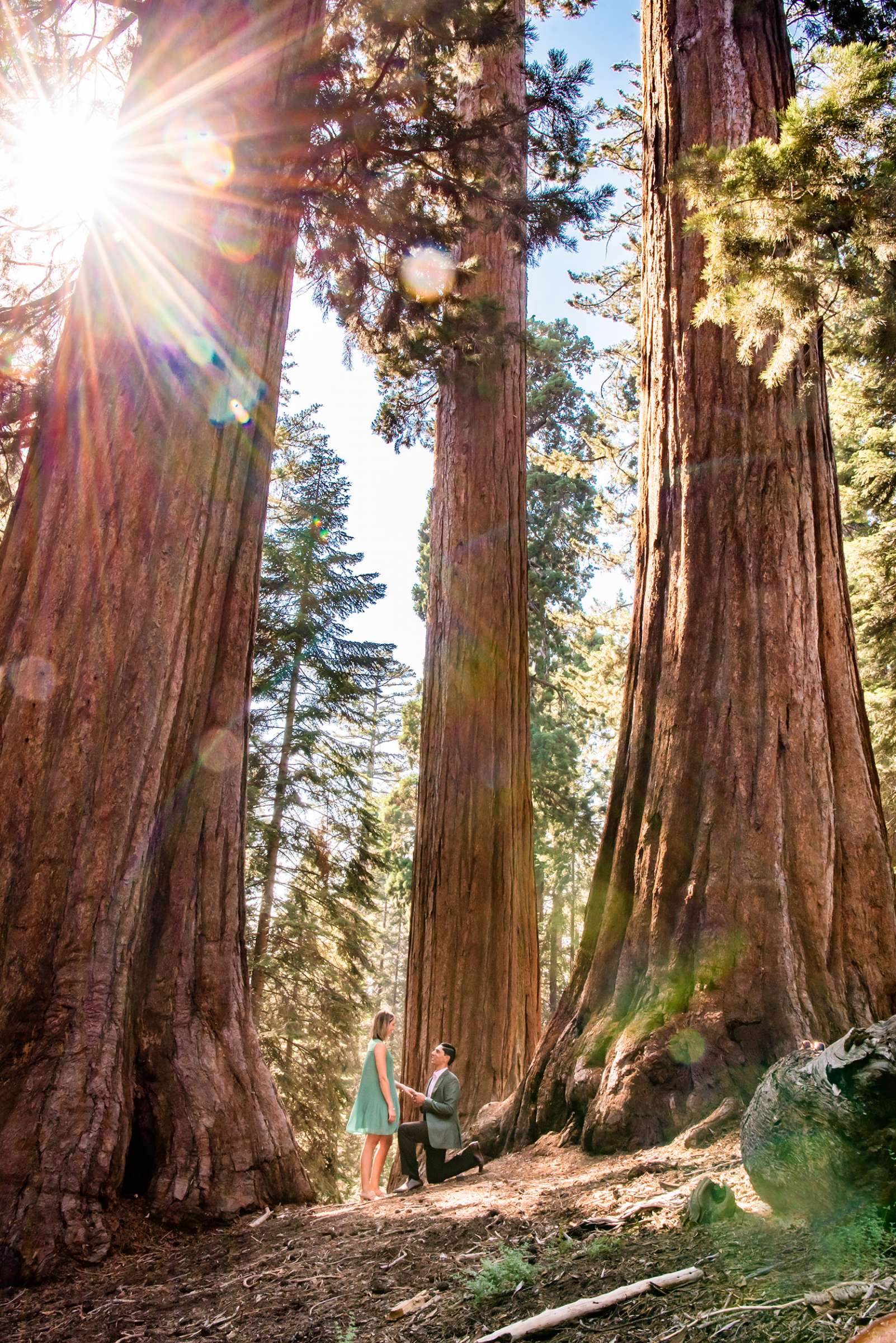 Proposal, Sam and Raj Proposal Photo #1 by True Photography