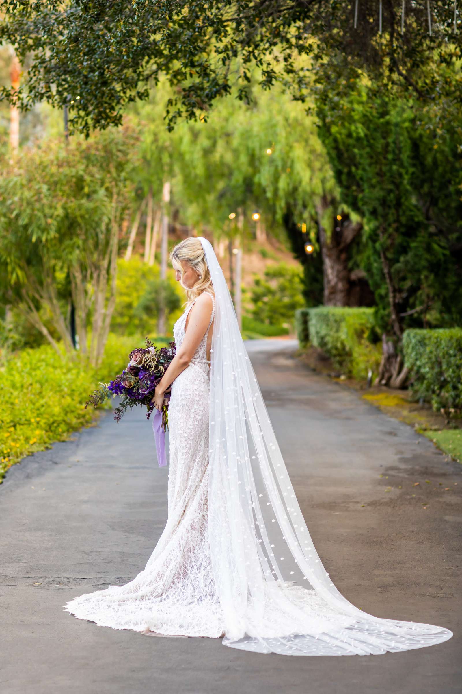 Los Willows Wedding, Alison and Colin Wedding Photo #55 by True Photography