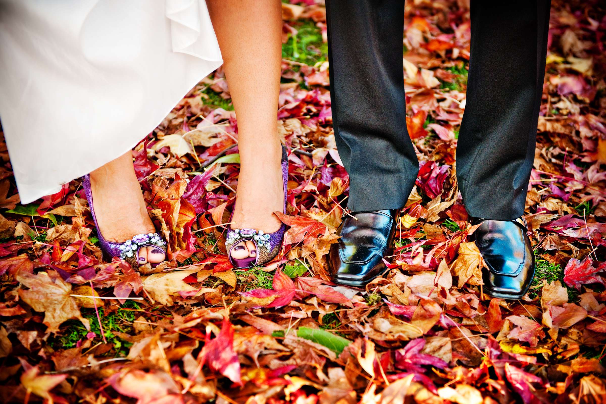 At the Park at Four Seasons Vancouver Wedding coordinated by Four Seasons Vancouver, Nazila and James Wedding Photo #21 by True Photography