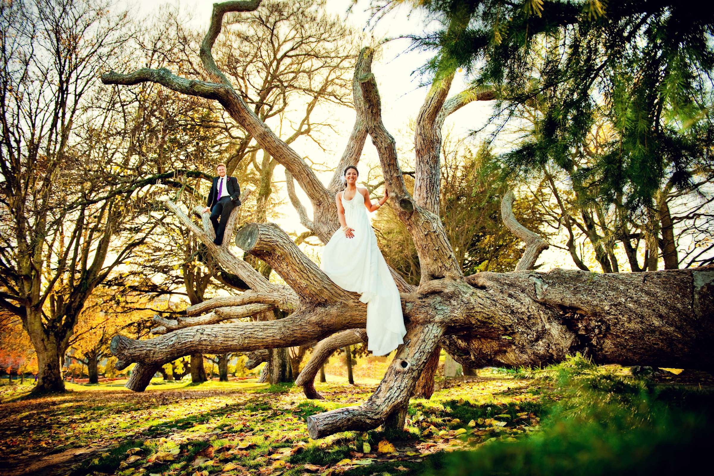 Forest, At the Park at Four Seasons Vancouver Wedding coordinated by Four Seasons Vancouver, Nazila and James Wedding Photo #22 by True Photography