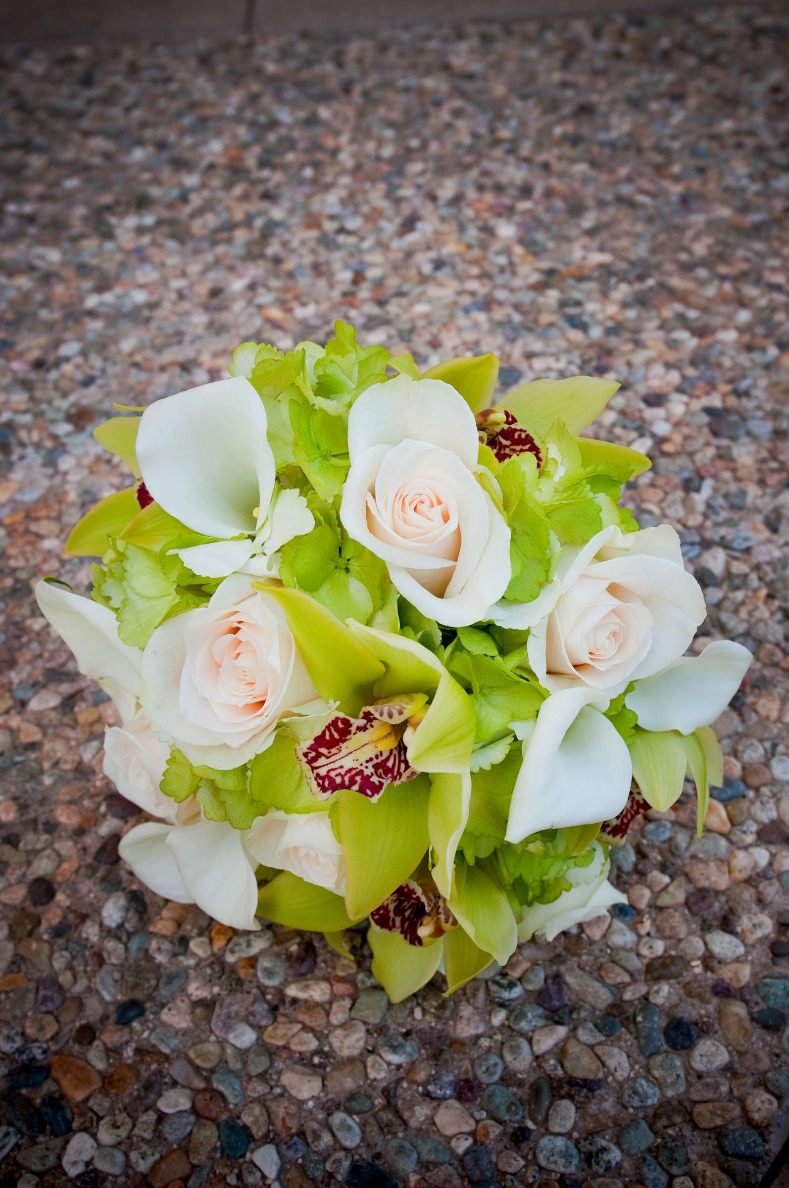 Maderas Golf Club Wedding, Jaime and Adam Wedding Photo #7002 by True Photography