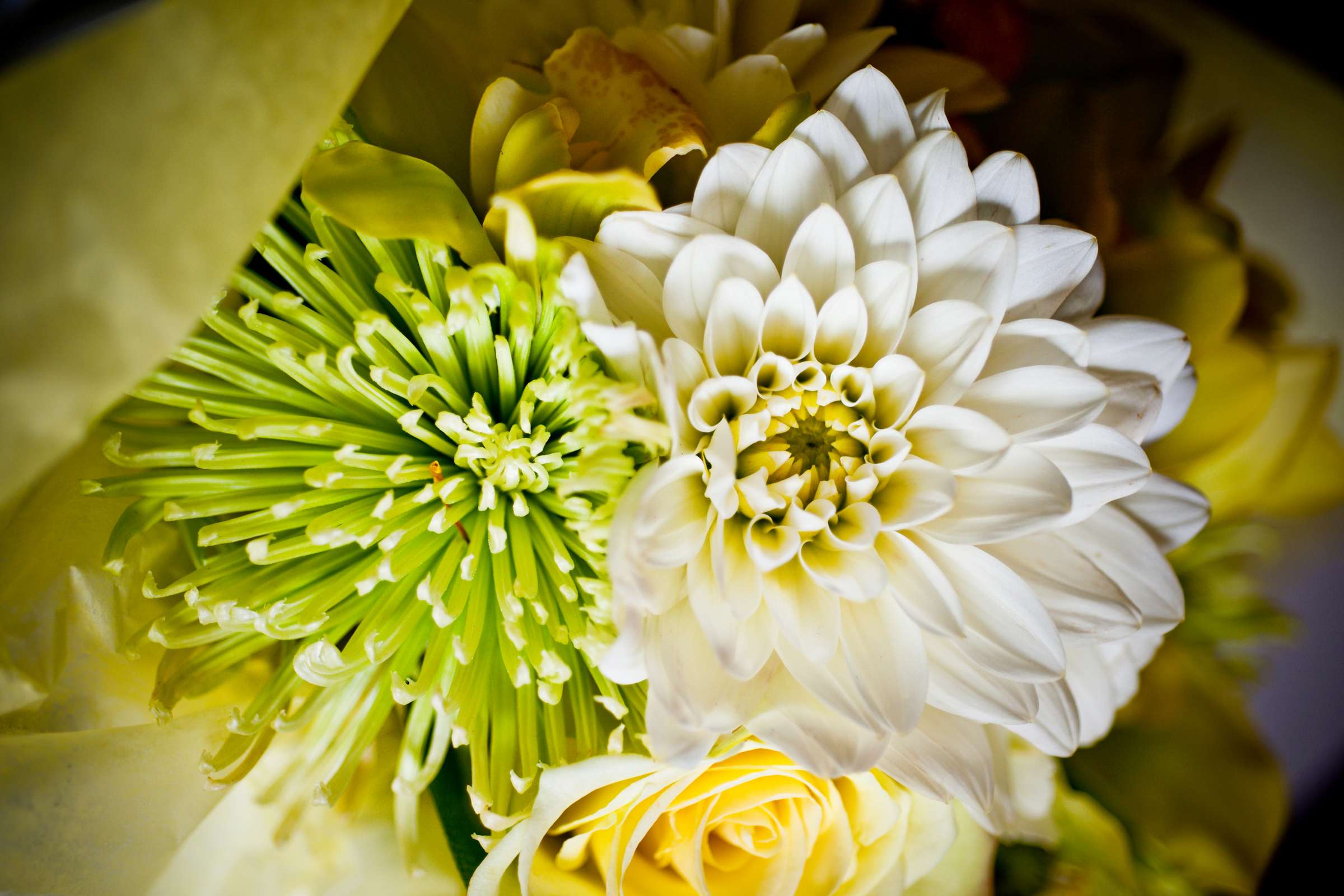 Hilton Garden Inn Carlsbad Wedding, Jennifer and Anthony Wedding Photo #3 by True Photography