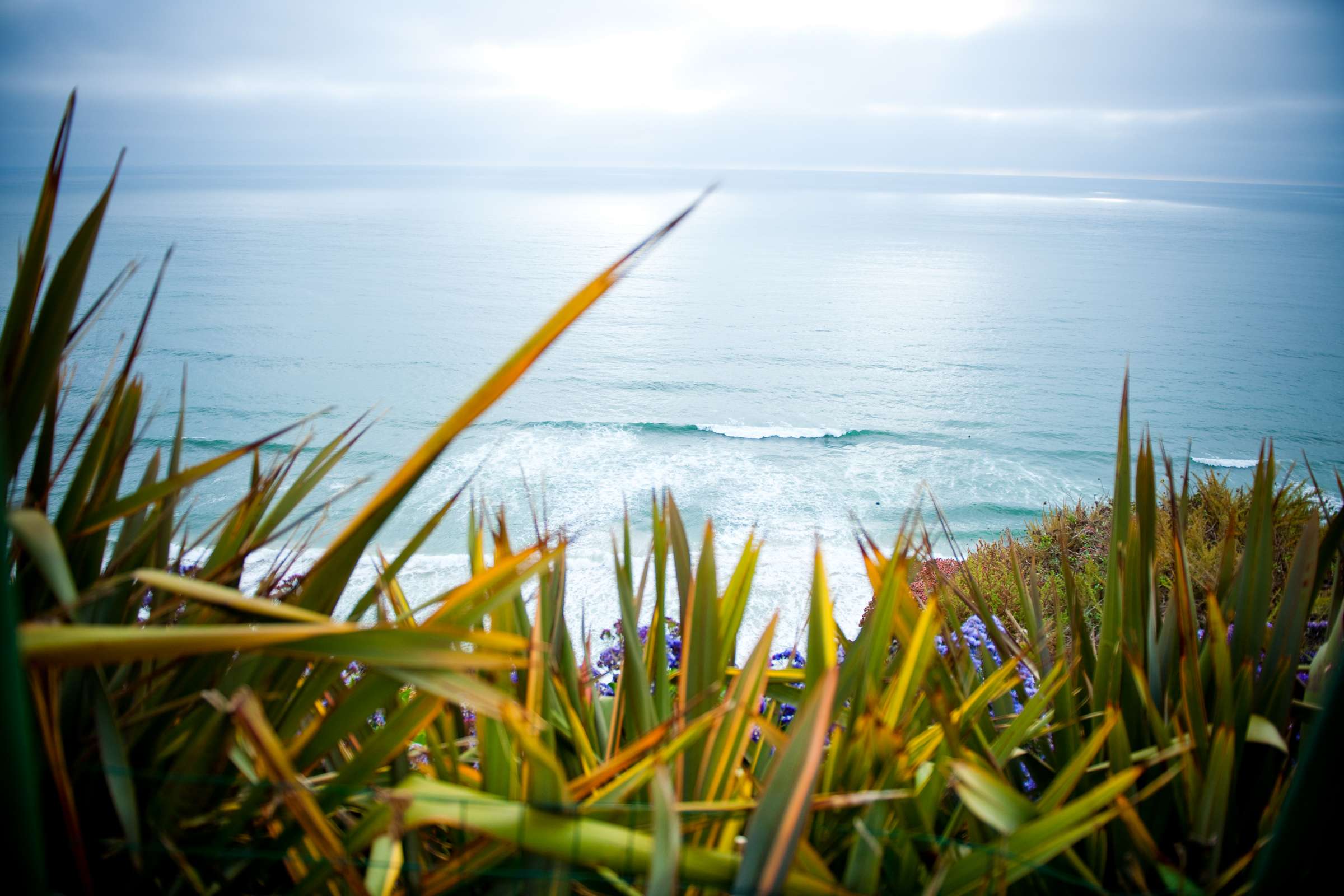 La Jolla Private Residence Wedding, Berry Dinner Wedding Photo #13915 by True Photography