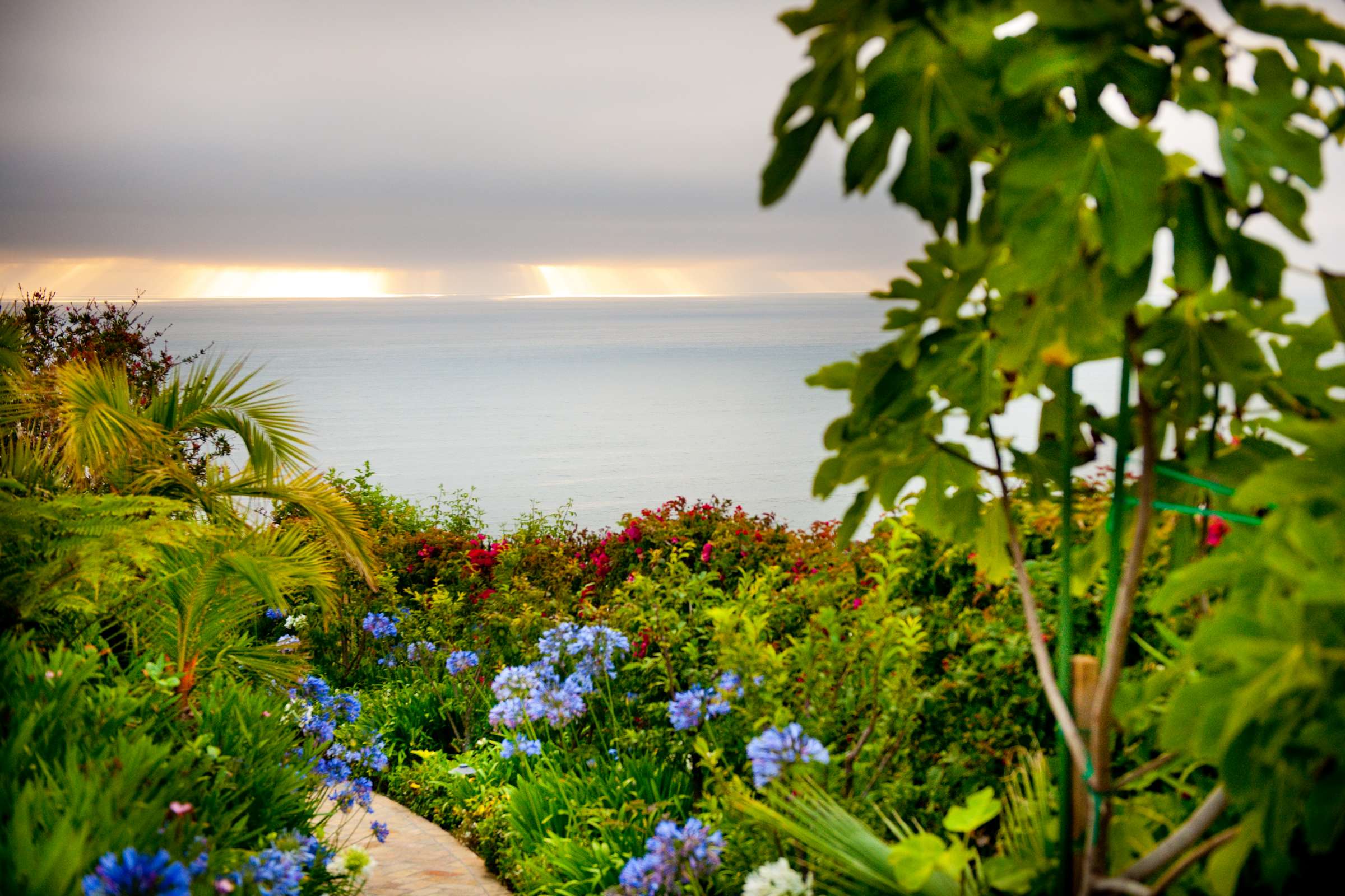 La Jolla Private Residence Wedding, Berry Dinner Wedding Photo #13916 by True Photography