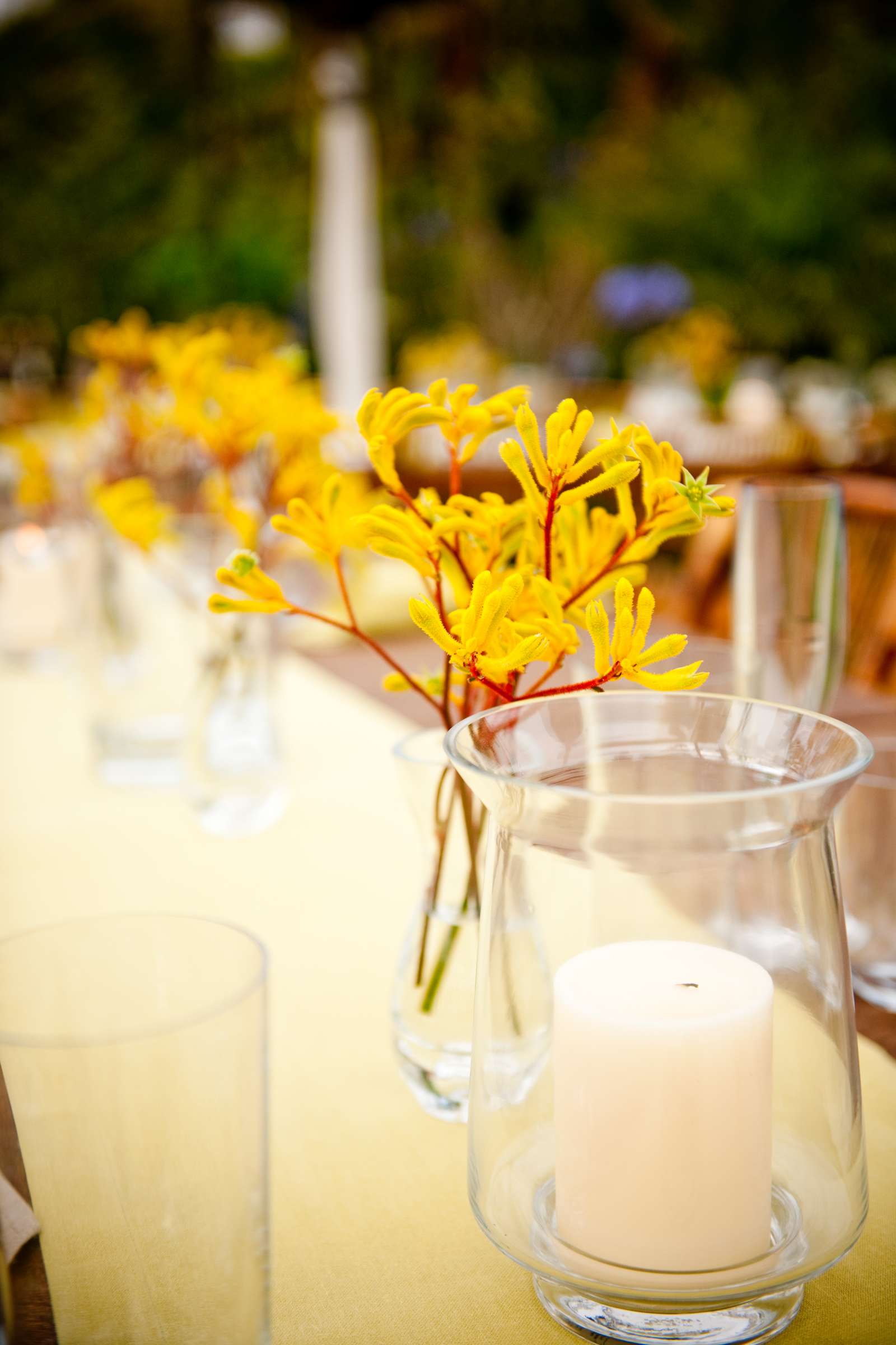 La Jolla Private Residence Wedding, Berry Dinner Wedding Photo #13937 by True Photography