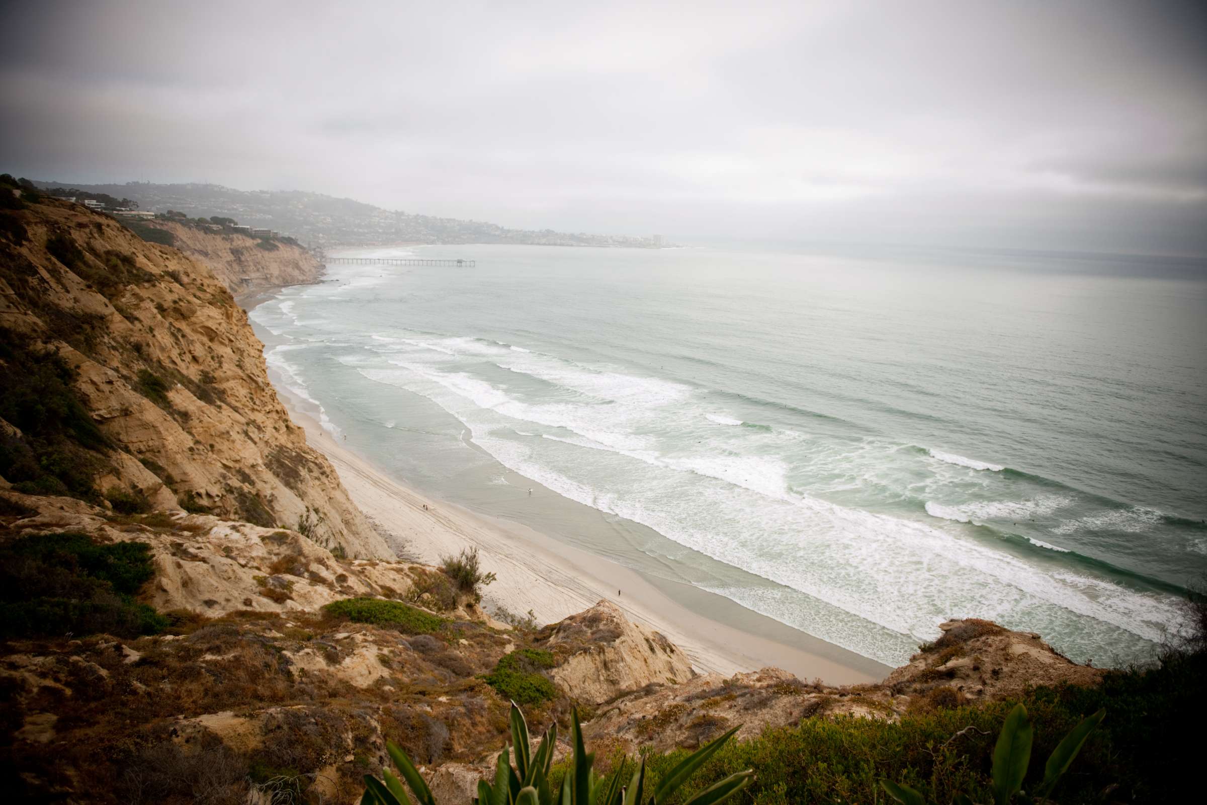 La Jolla Private Residence Wedding, Berry Dinner Wedding Photo #13968 by True Photography