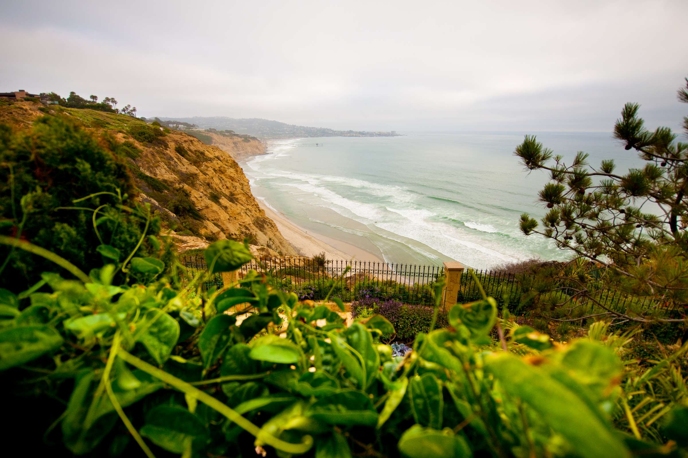 La Jolla Private Residence Wedding, Berry Dinner Wedding Photo #13996 by True Photography