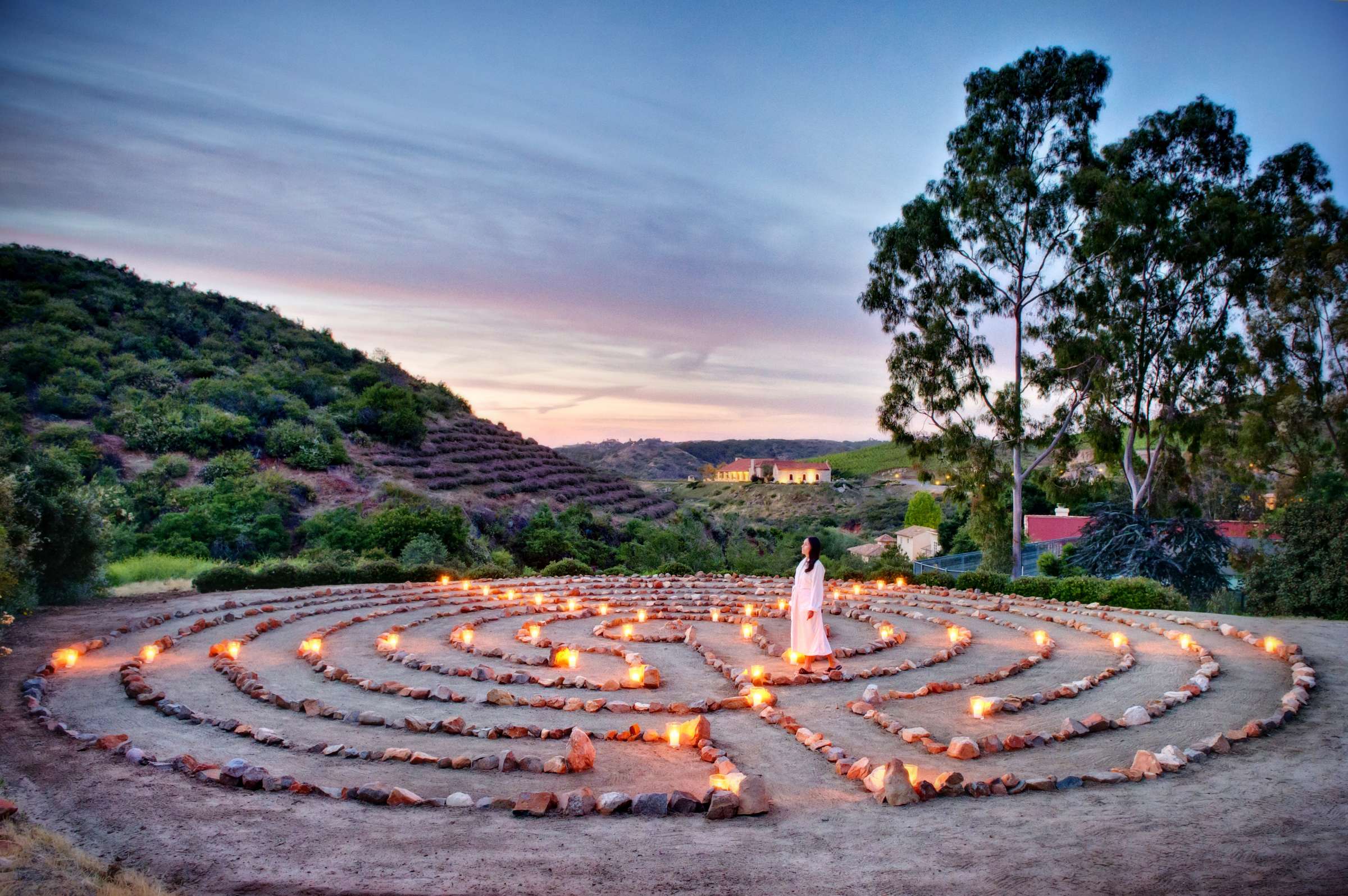 Cal-a-Vie Health Spa Wedding, cal-a-vie Wedding Photo #17 by True Photography