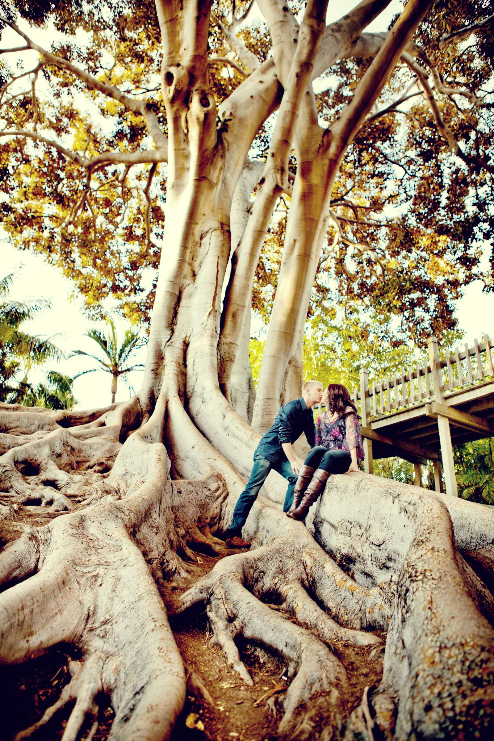 Wedding, Andrea and Jeff engagement Wedding Photo #31005 by True Photography