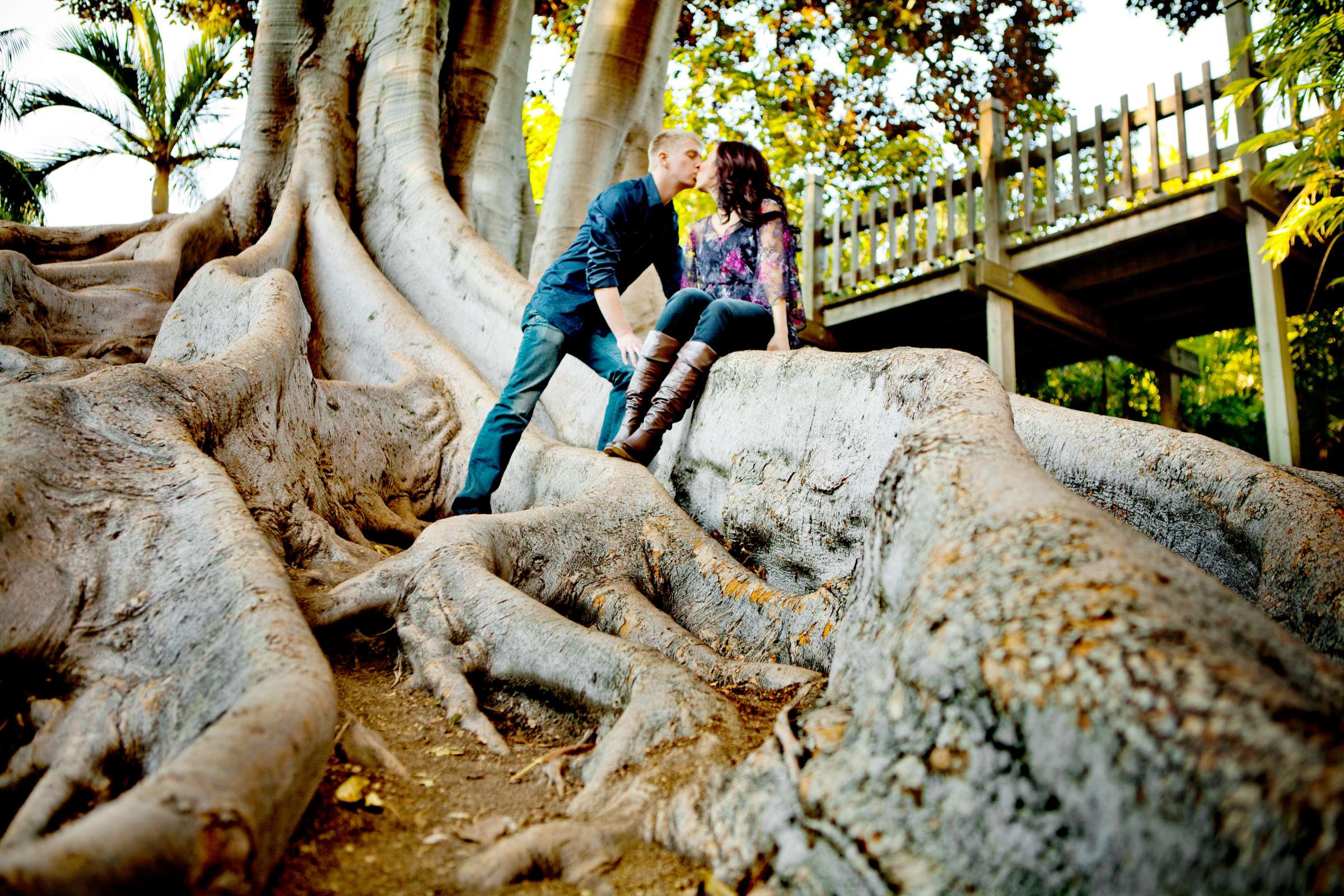 Wedding, Andrea and Jeff engagement Wedding Photo #31006 by True Photography