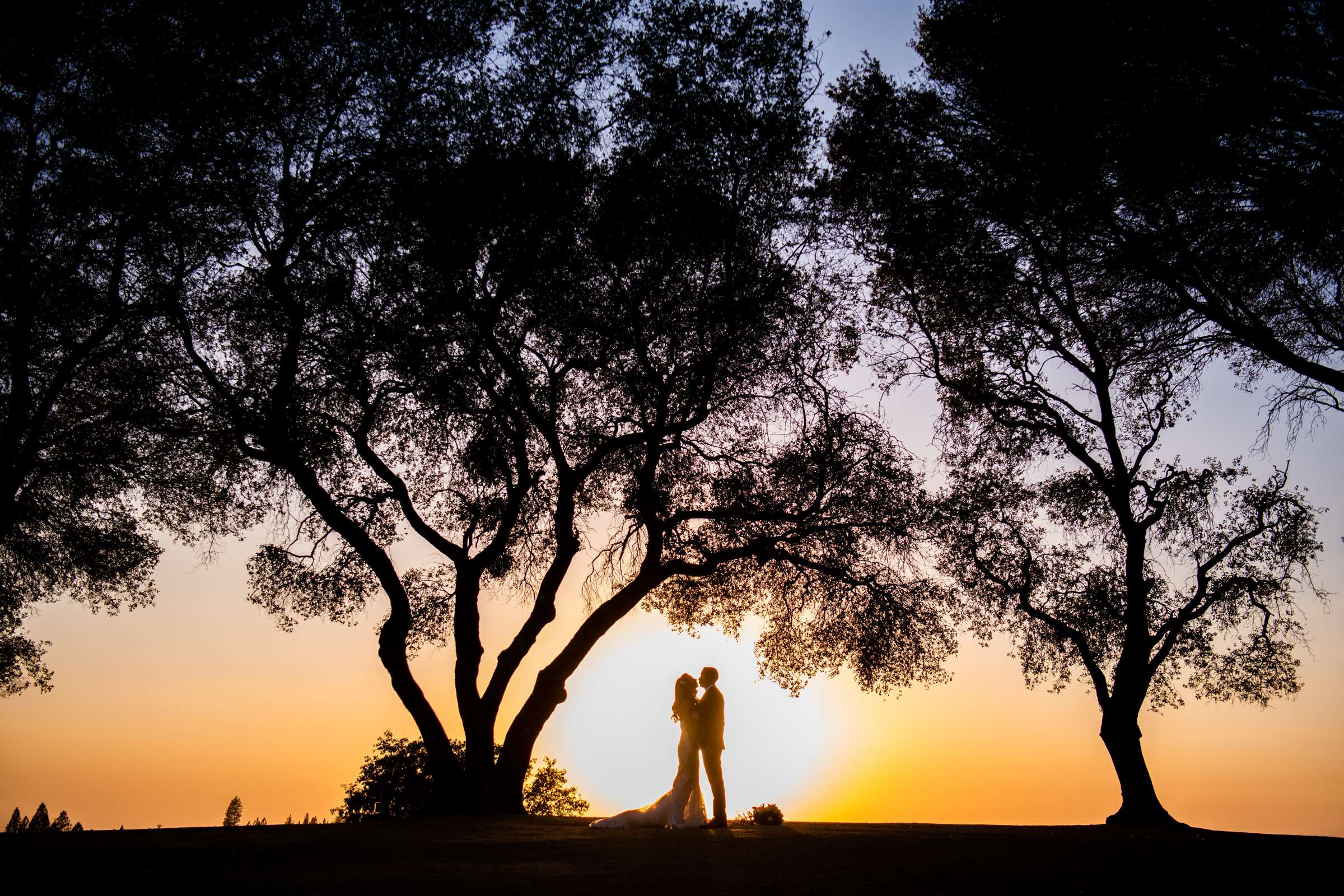 Black Oak Mountain Vineyards Wedding coordinated by Kendall Melissa Events, Liz and Paul Wedding Photo #4 by True Photography