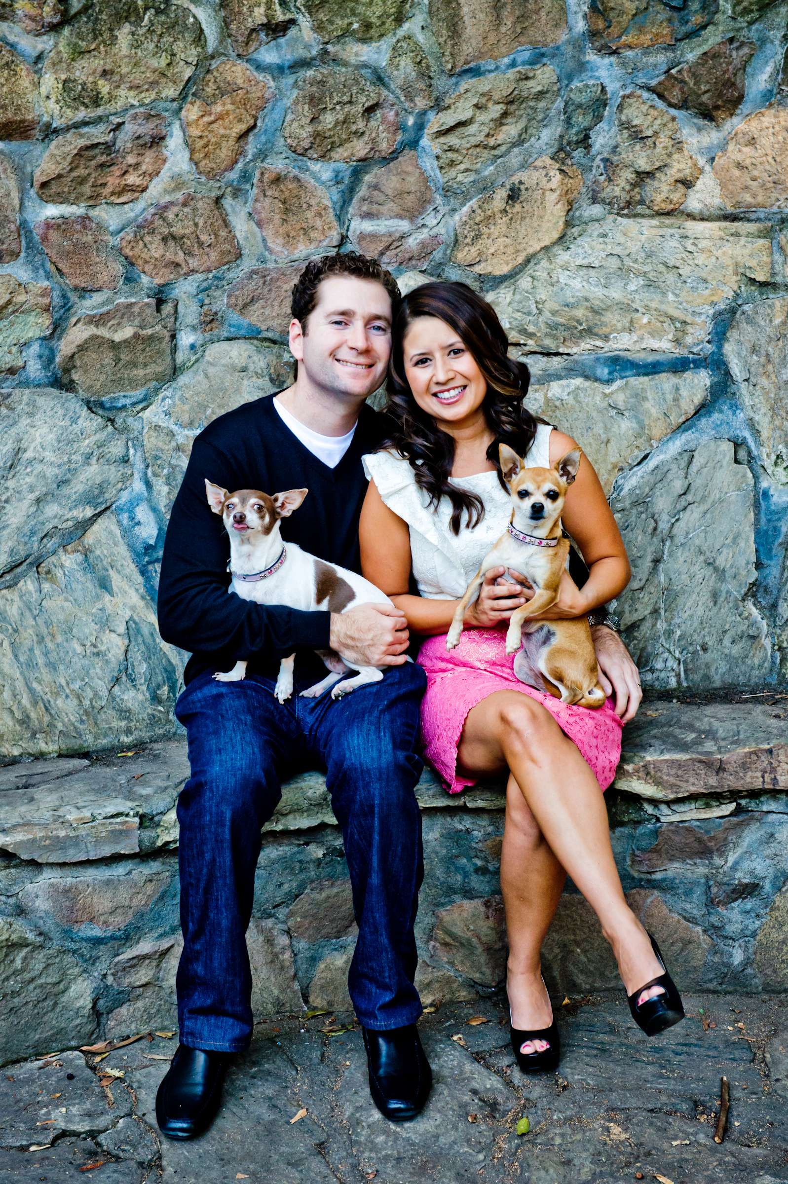 Wedding, Cute Dogs Wedding Photo #17 by True Photography