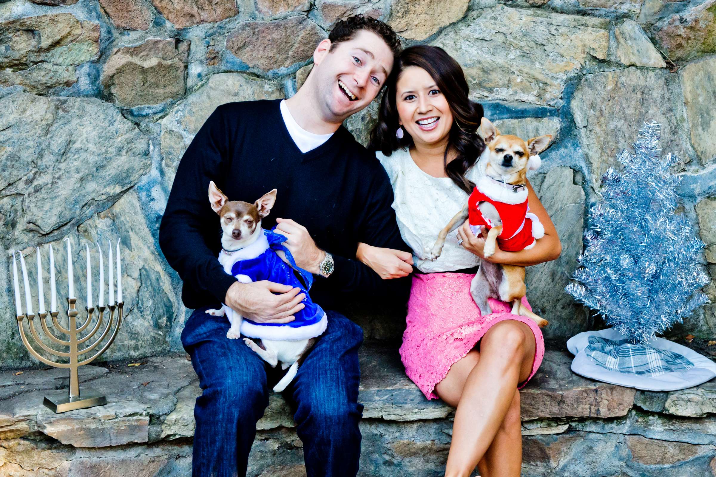 Wedding, Cute Dogs Wedding Photo #2 by True Photography