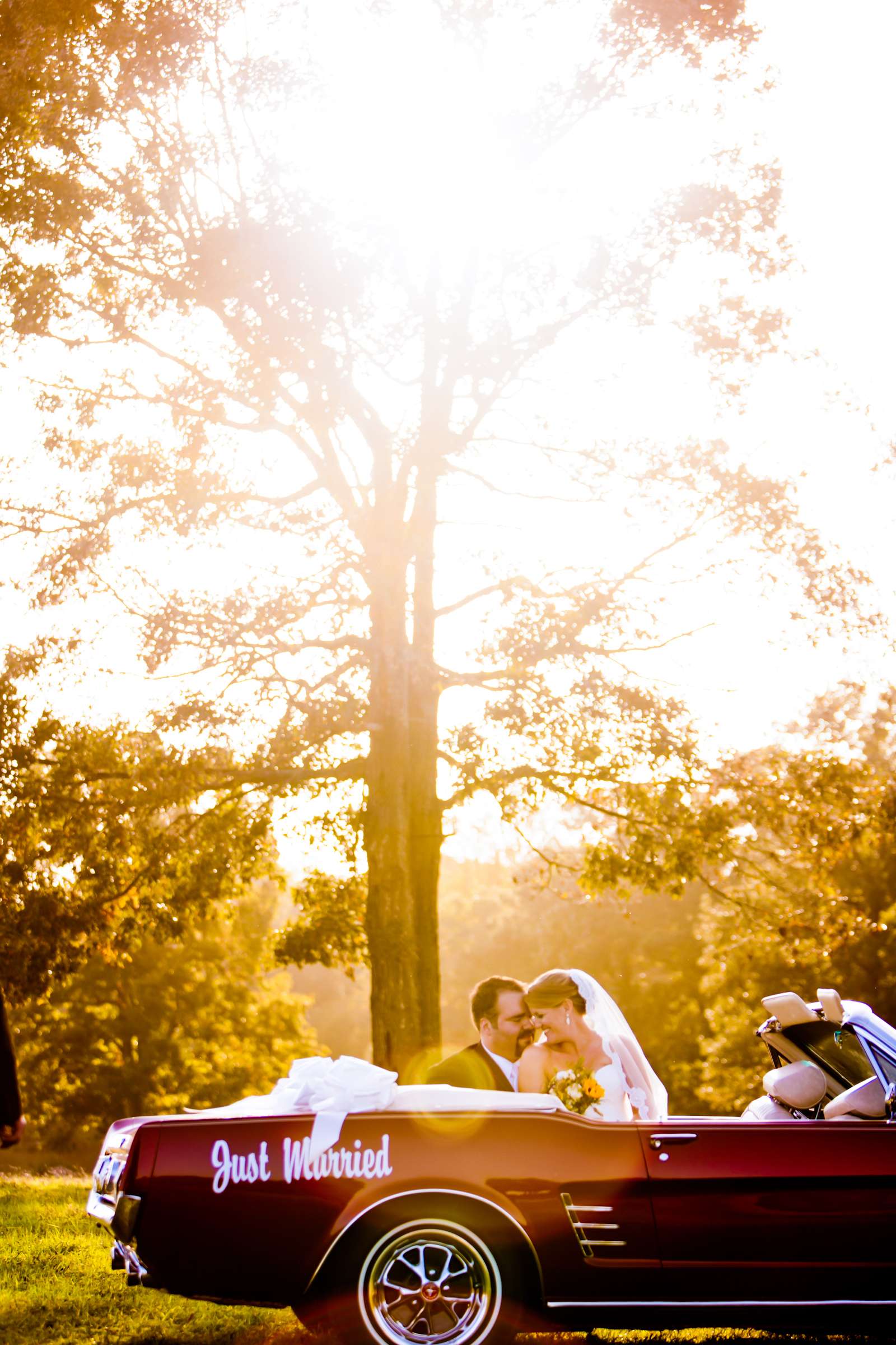 Wedding, Morse Favorites Wedding Photo #69777 by True Photography