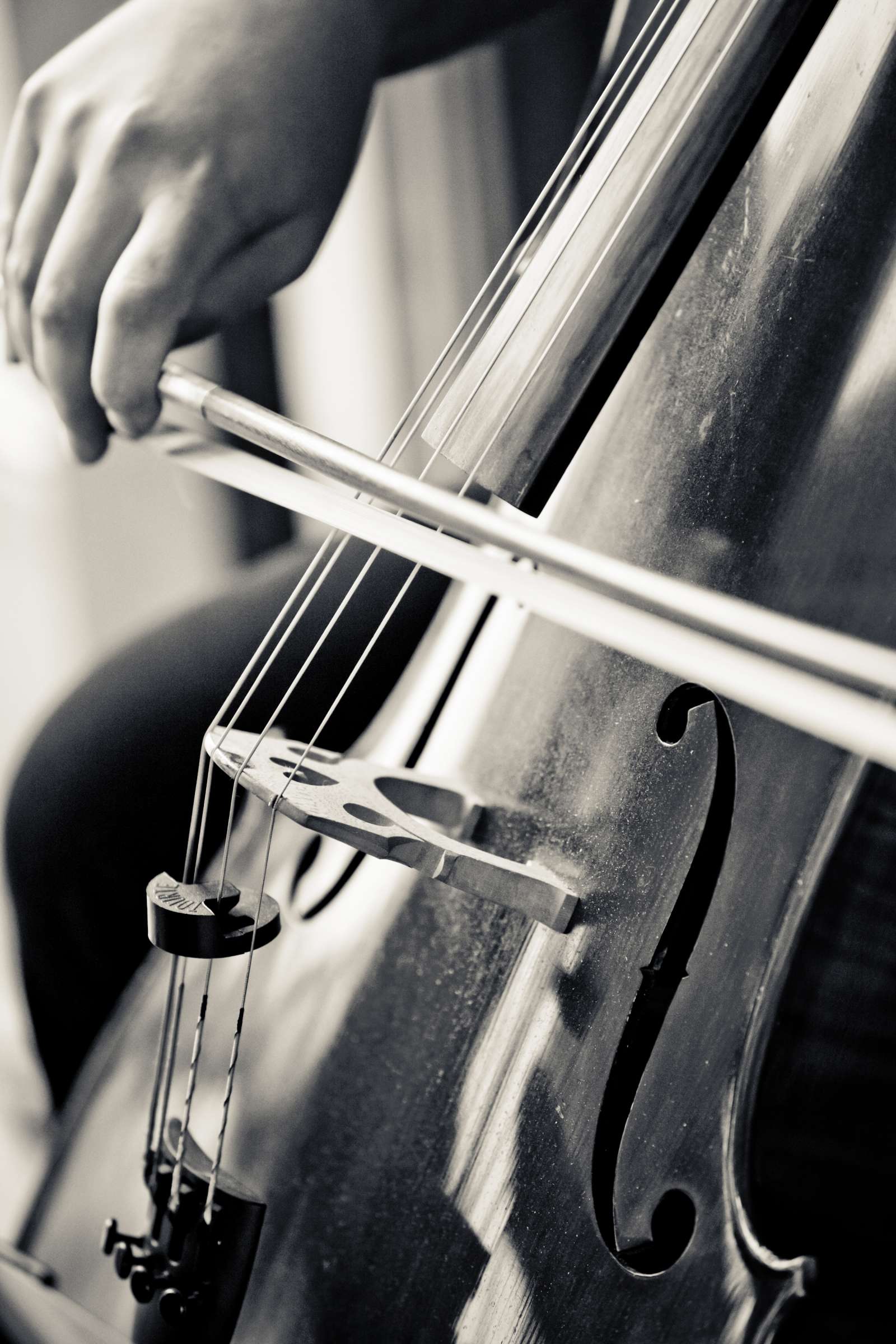 Musicians at Scripps Seaside Forum Wedding coordinated by I Do Weddings, Lydia and Olin Wedding Photo #87236 by True Photography