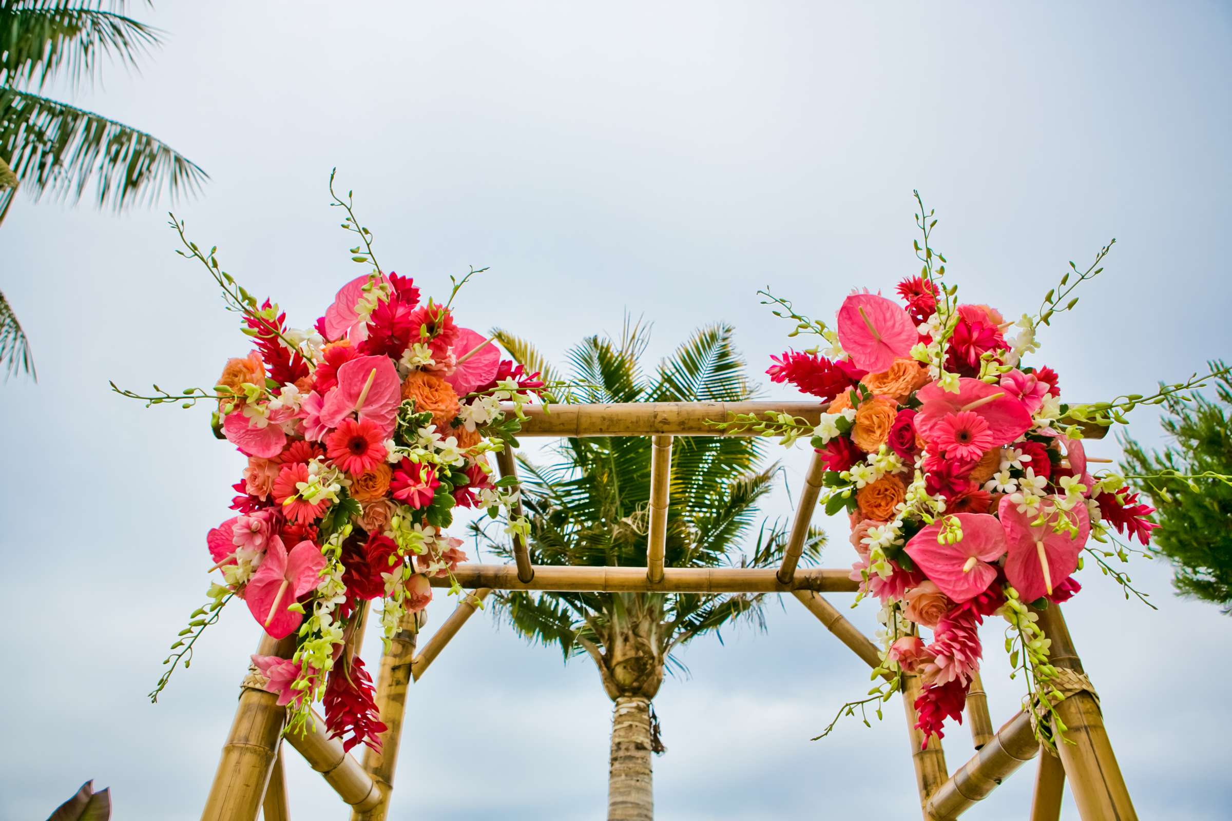 Bali Hai Wedding coordinated by Tres Chic Affairs, Ilze and Jon Wedding Photo #93771 by True Photography