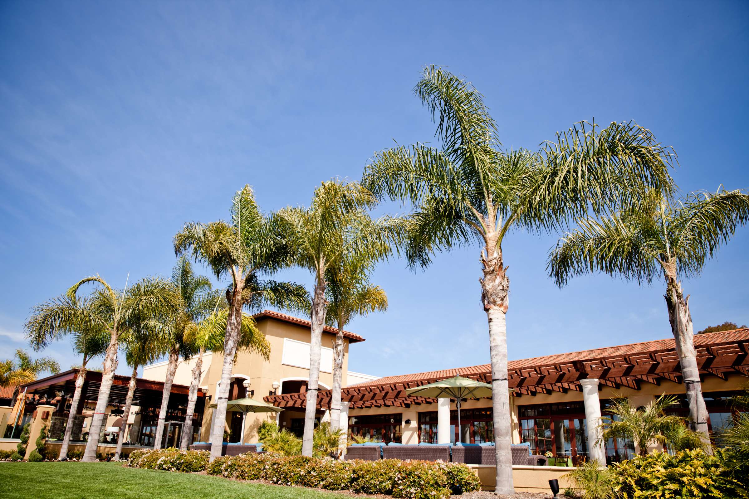 Sheraton Carlsbad Resort and Spa Wedding, Overall shots Wedding Photo #68 by True Photography